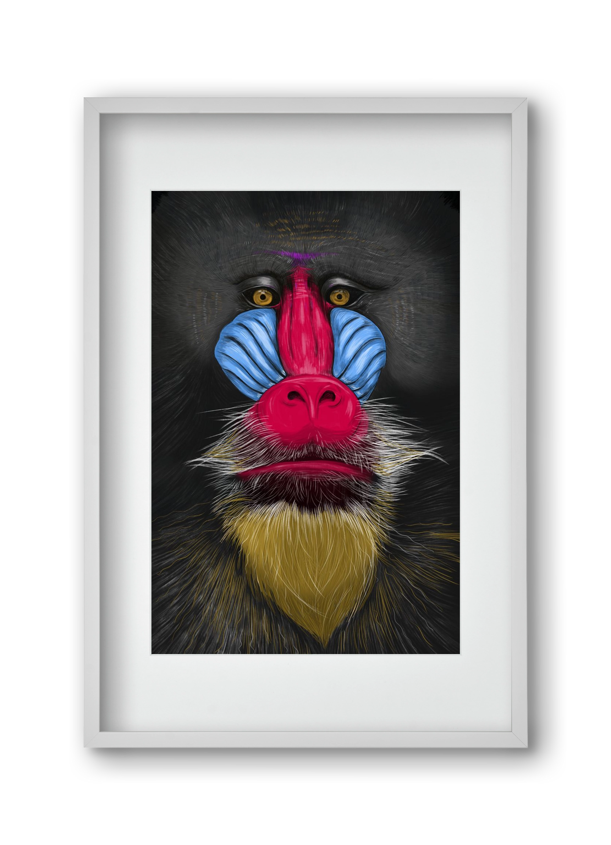 Monkey illustration, 30x45 cm (20x30 cm), Fehér keret, paszpartuval