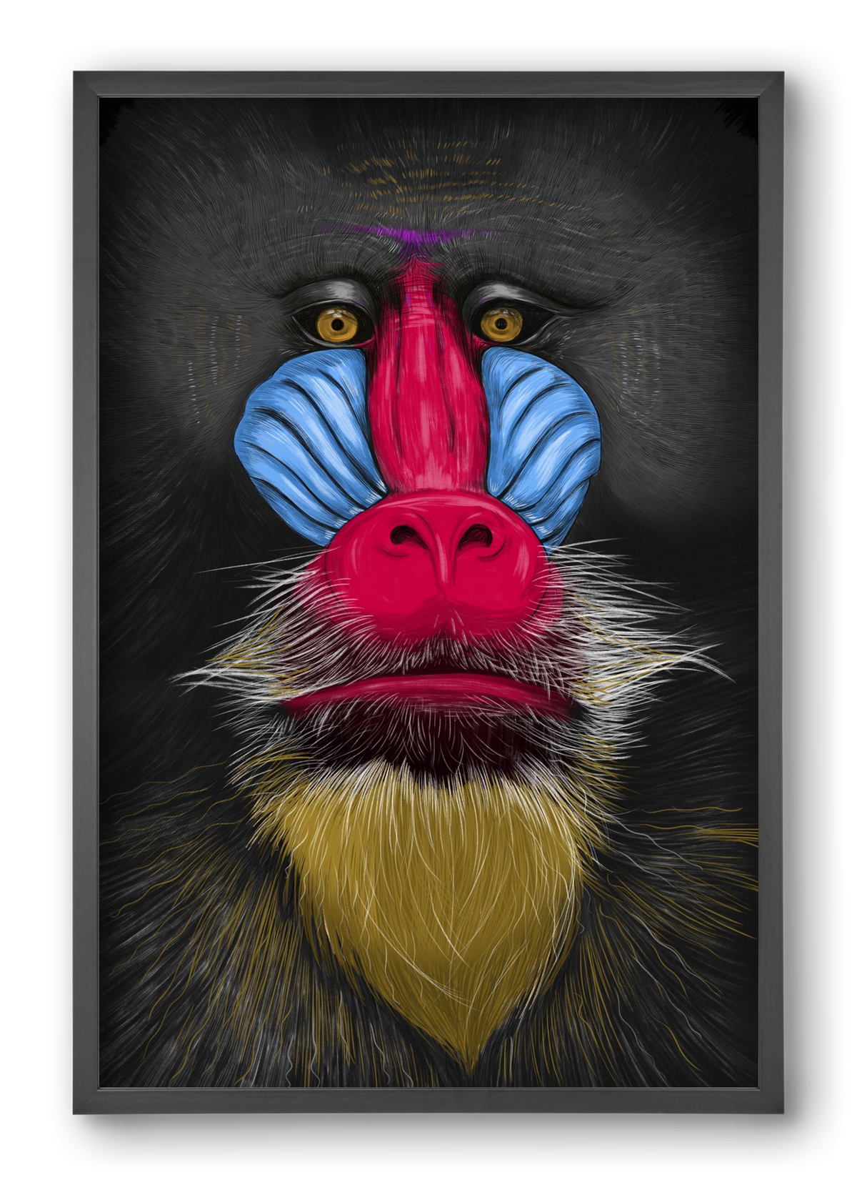 Monkey illustration, 40x60 cm (40x60 cm), Fekete keret