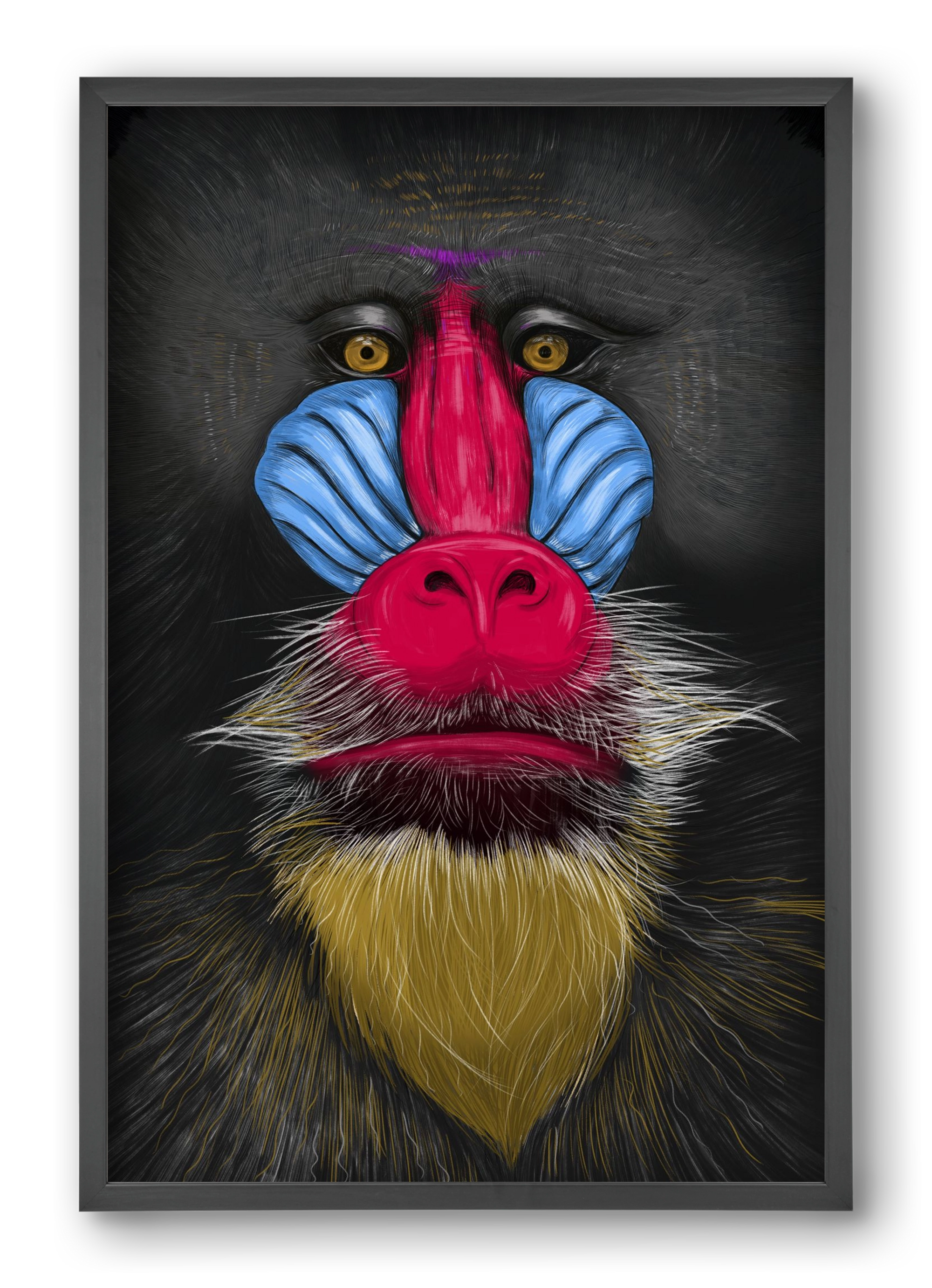 Monkey illustration, 40x60 cm (40x60 cm), Fekete keret