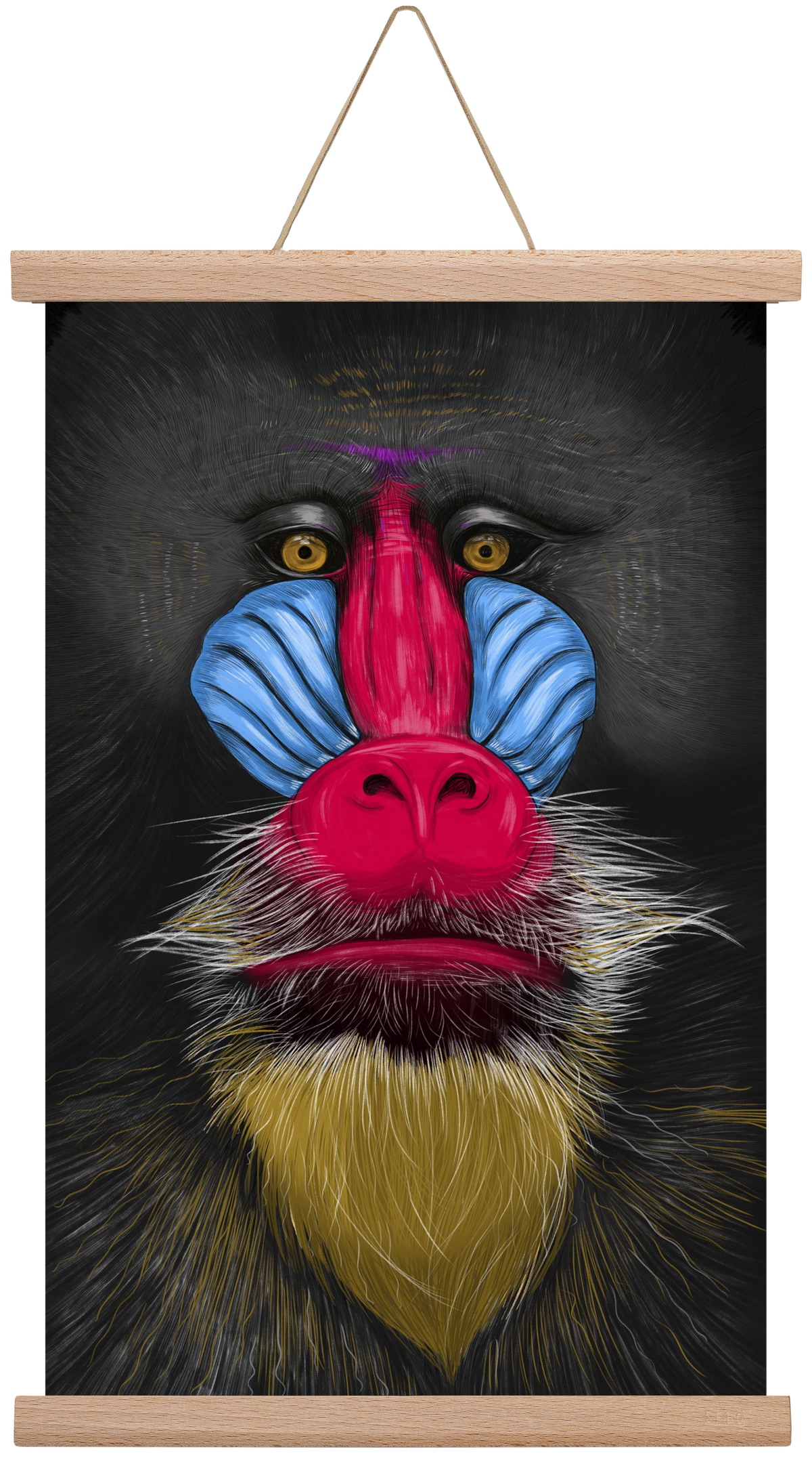 Monkey illustration, 30x45 cm (30x45 cm), Tölgy akasztó