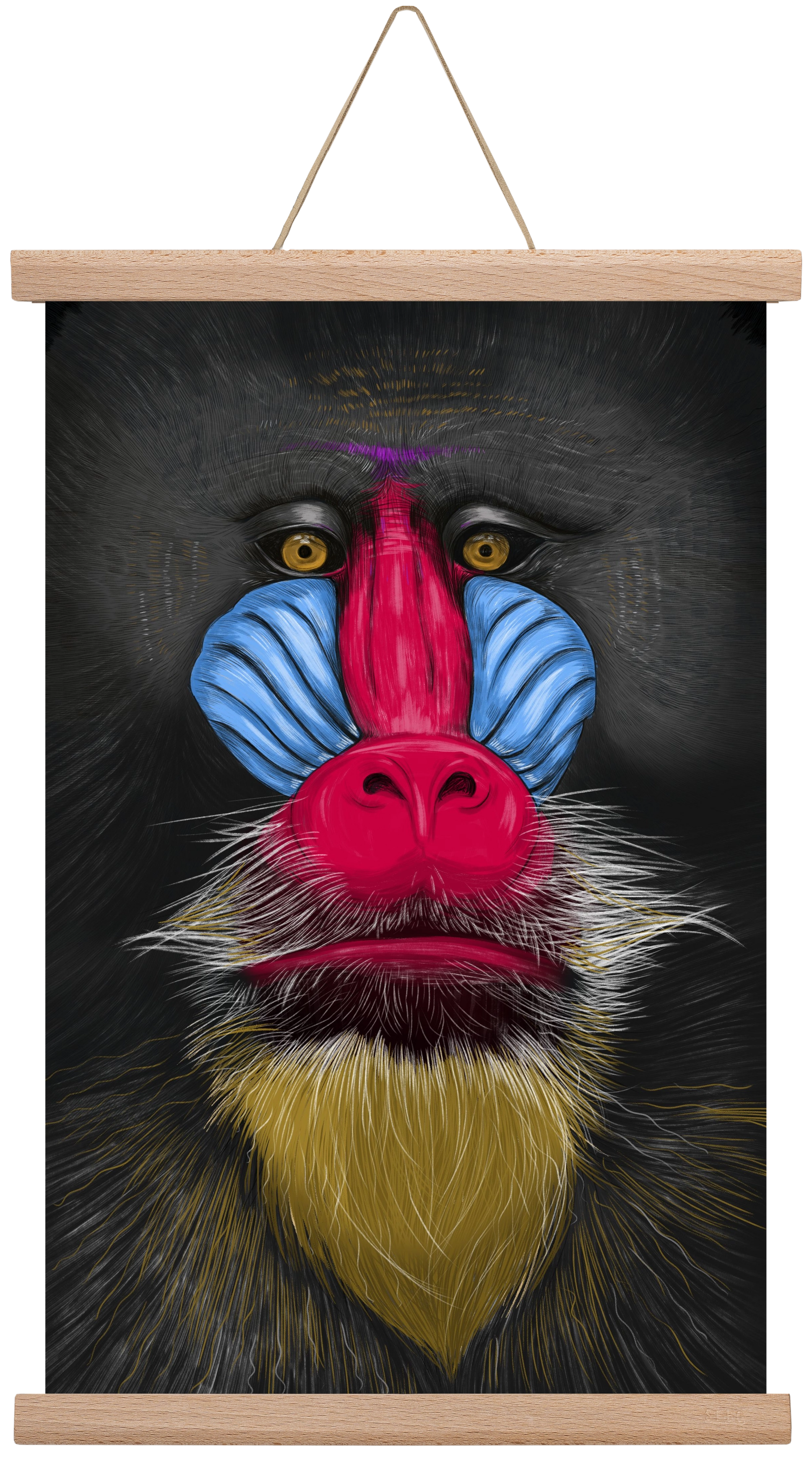 Monkey illustration, 30x45 cm (30x45 cm), Tölgy akasztó