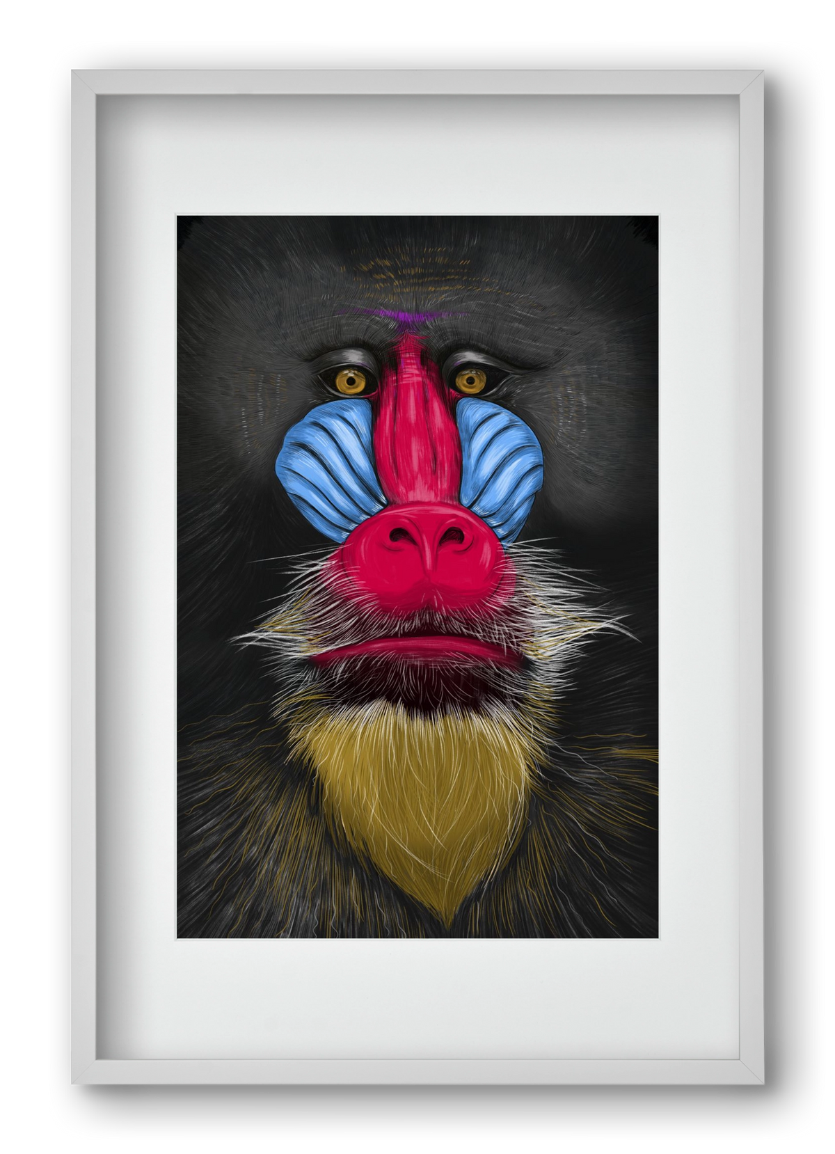 Monkey illustration, 40x60 cm (30x45 cm), Fehér keret, paszpartuval