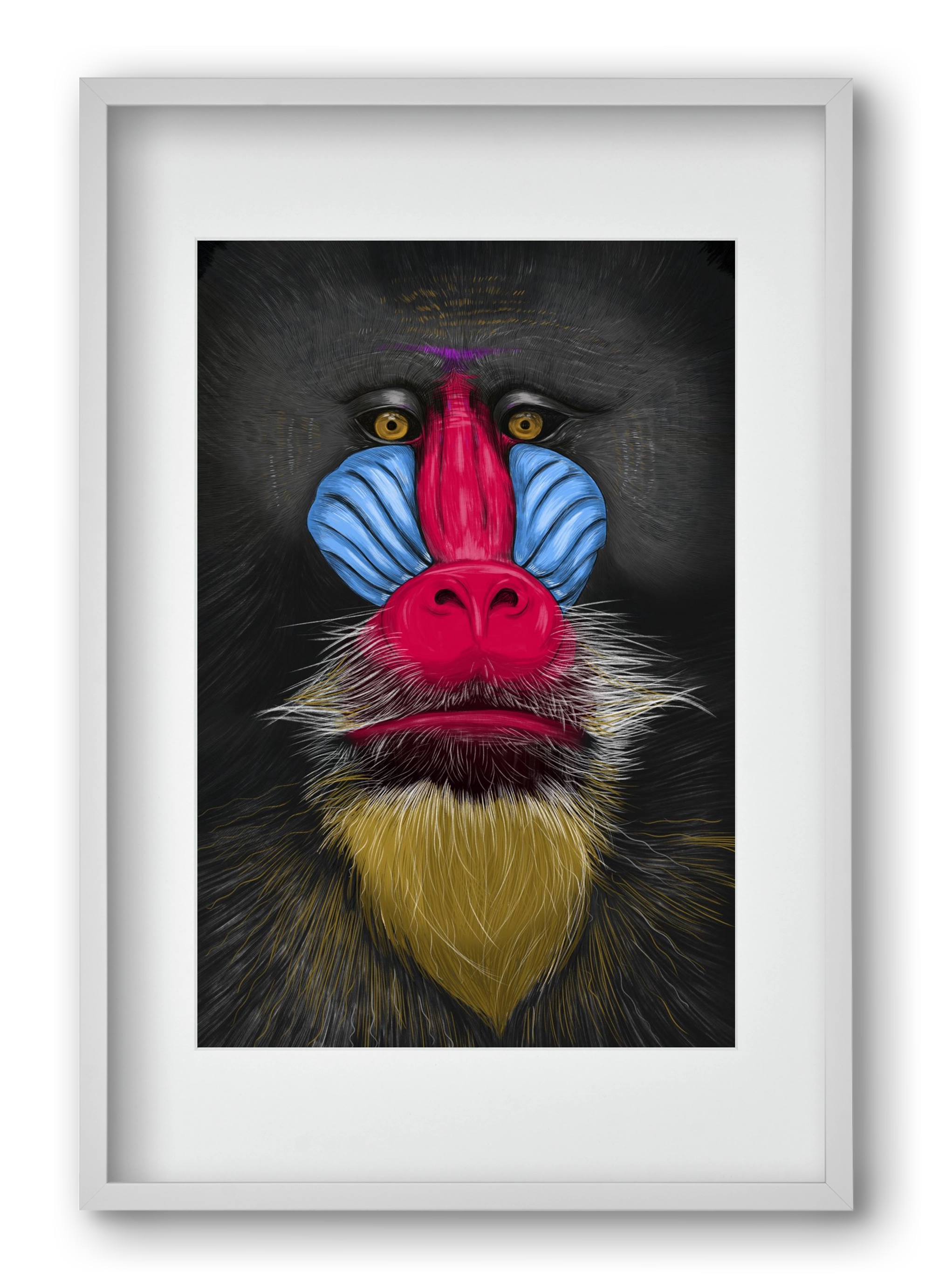 Monkey illustration, 40x60 cm (30x45 cm), Fehér keret, paszpartuval