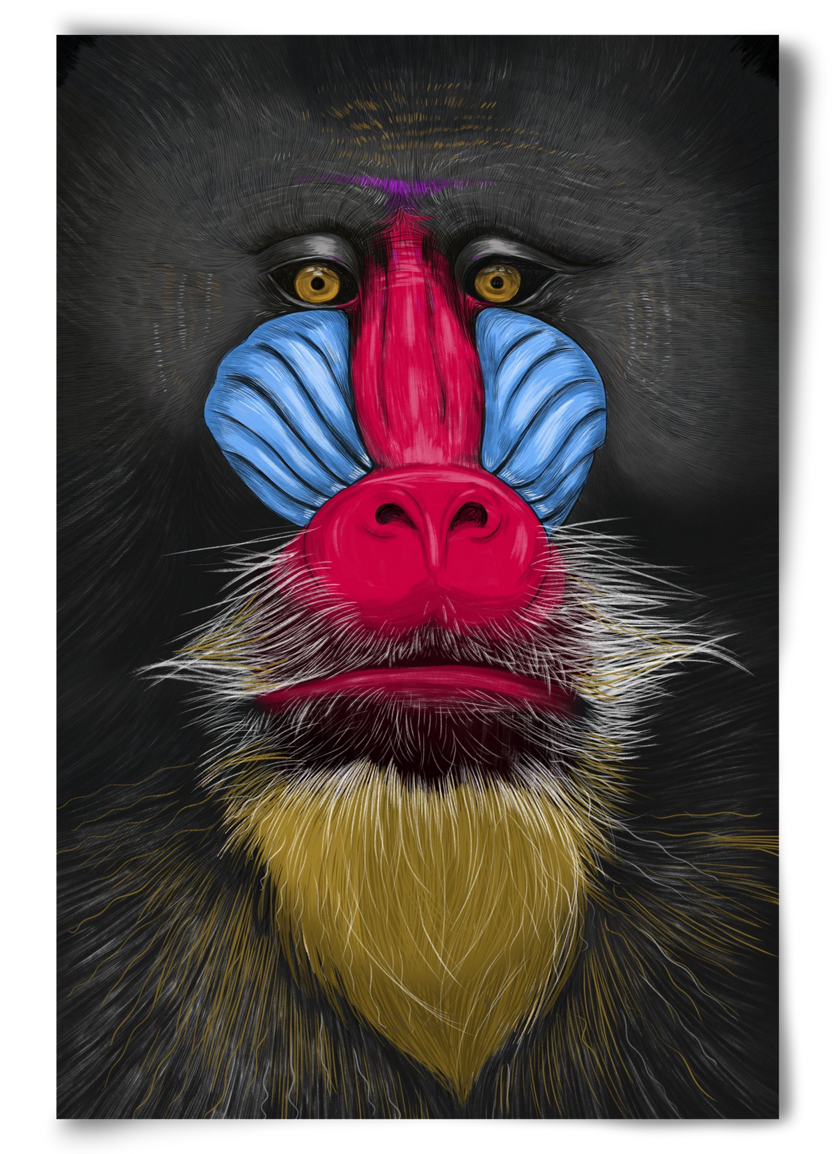 Monkey illustration, 60x90 cm, Keret nélkül