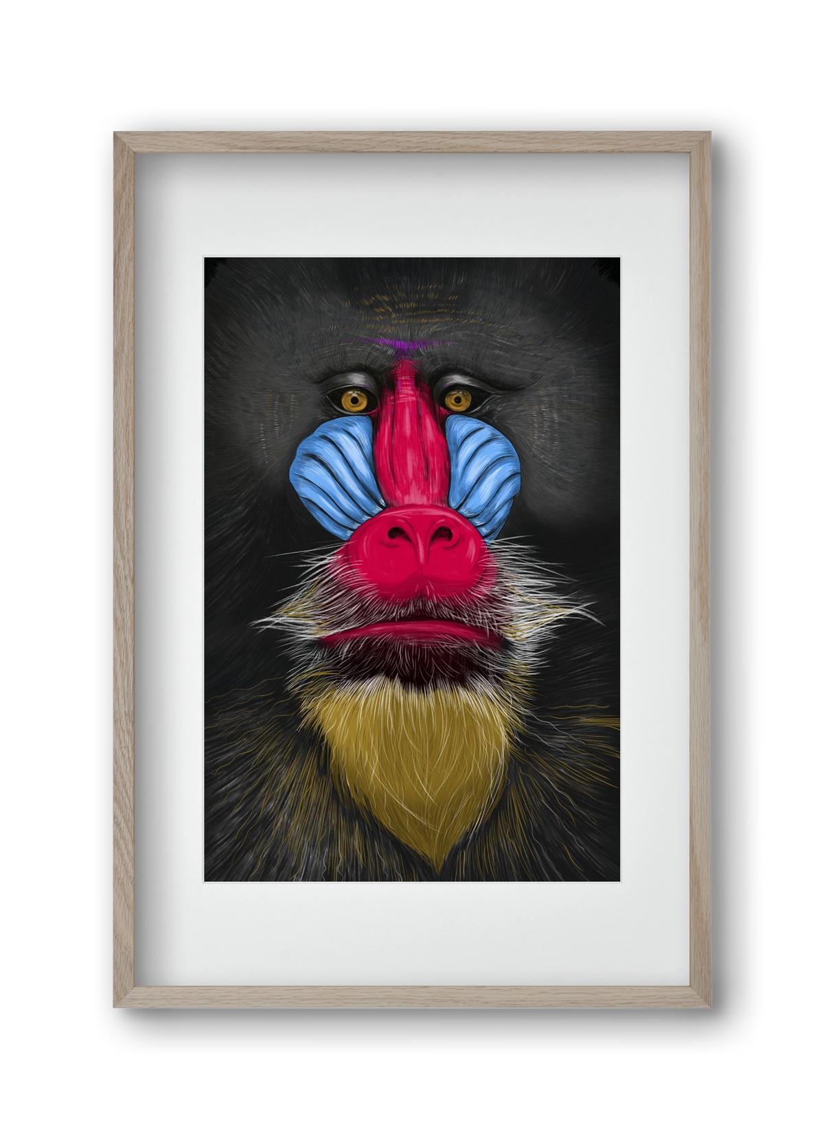 Monkey illustration, 30x45 cm (20x30 cm), Tölgy keret, paszpartuval