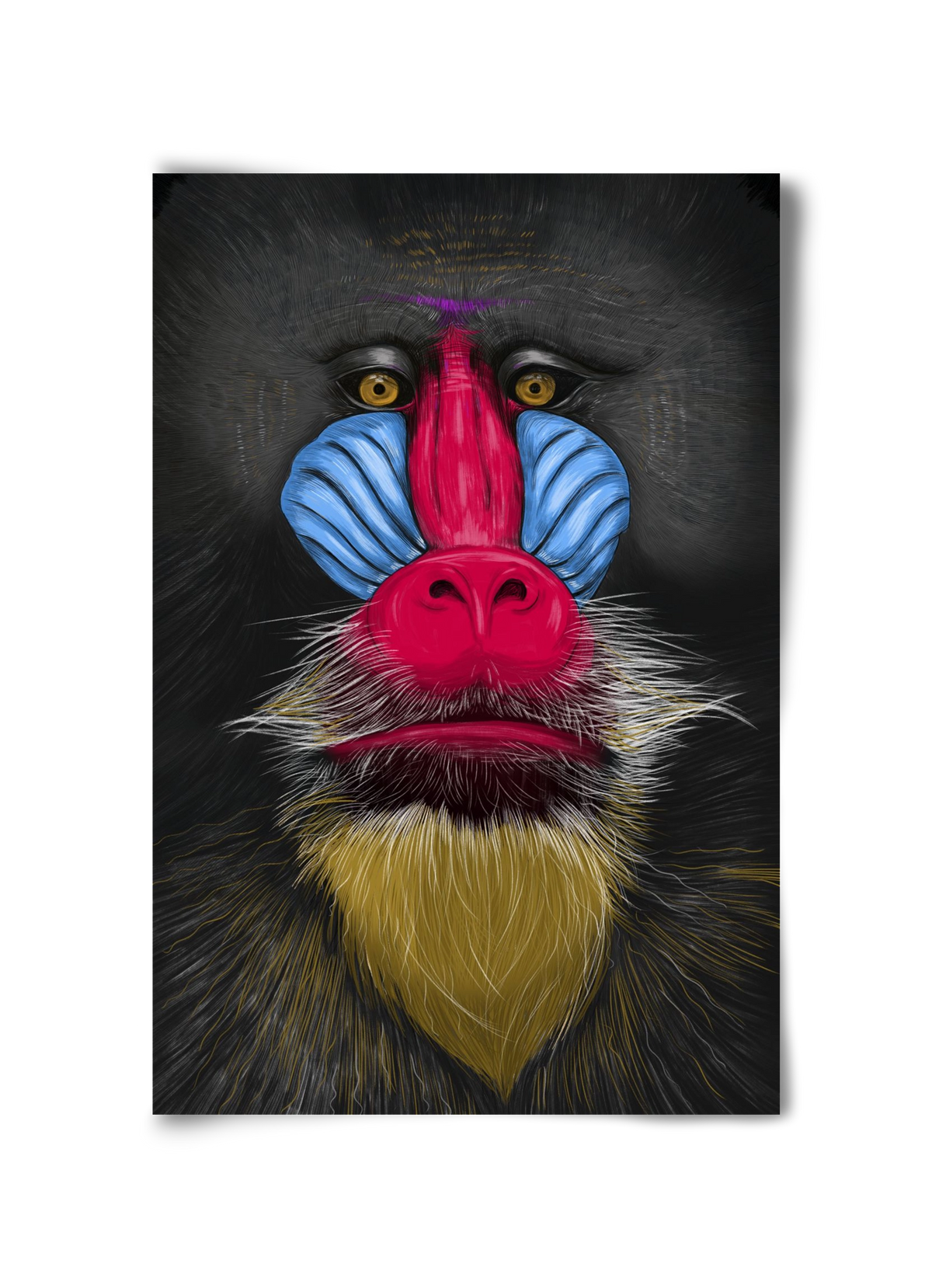 Monkey illustration, 30x45 cm, Keret nélkül