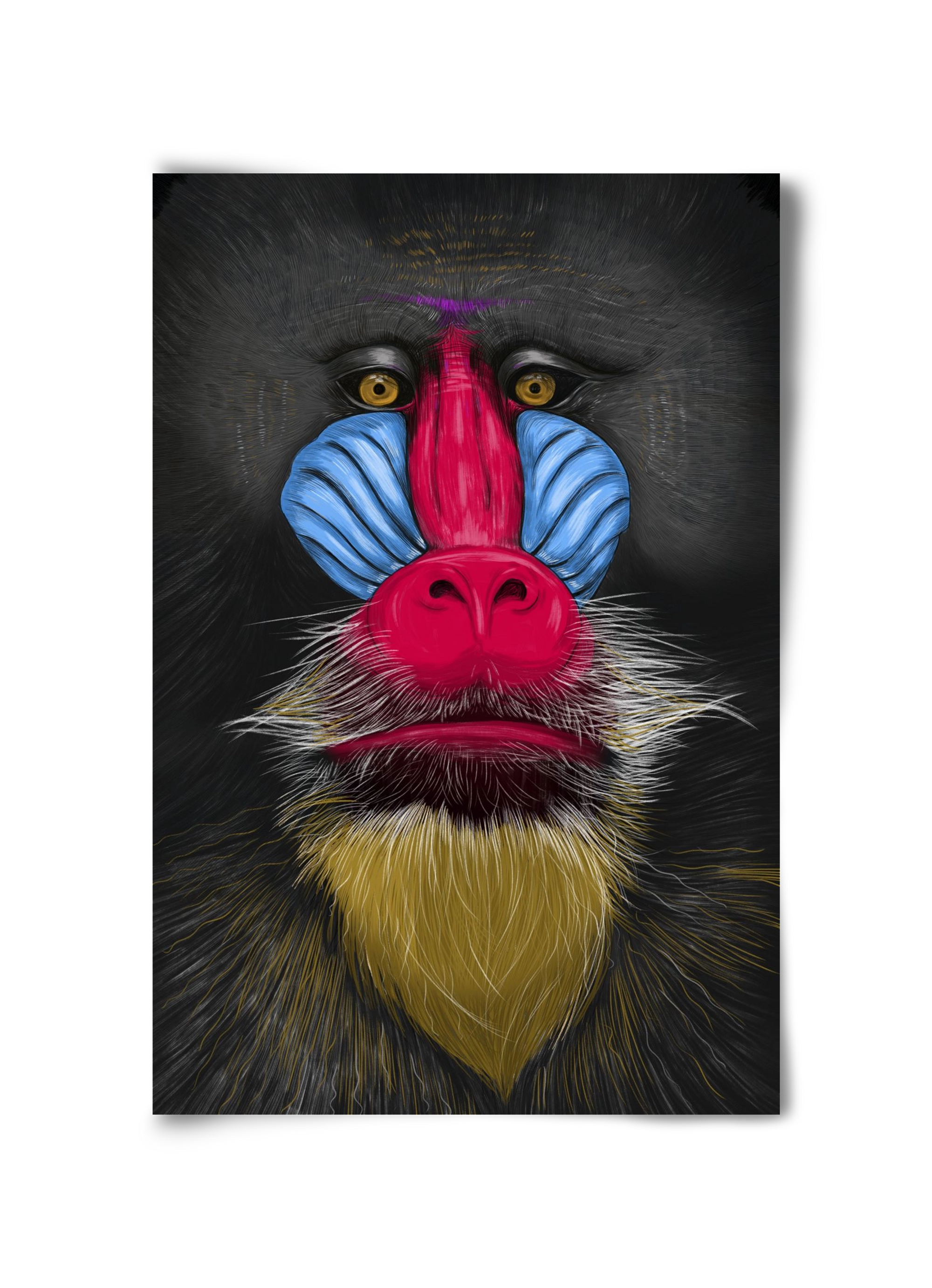 Monkey illustration, 30x45 cm, Keret nélkül