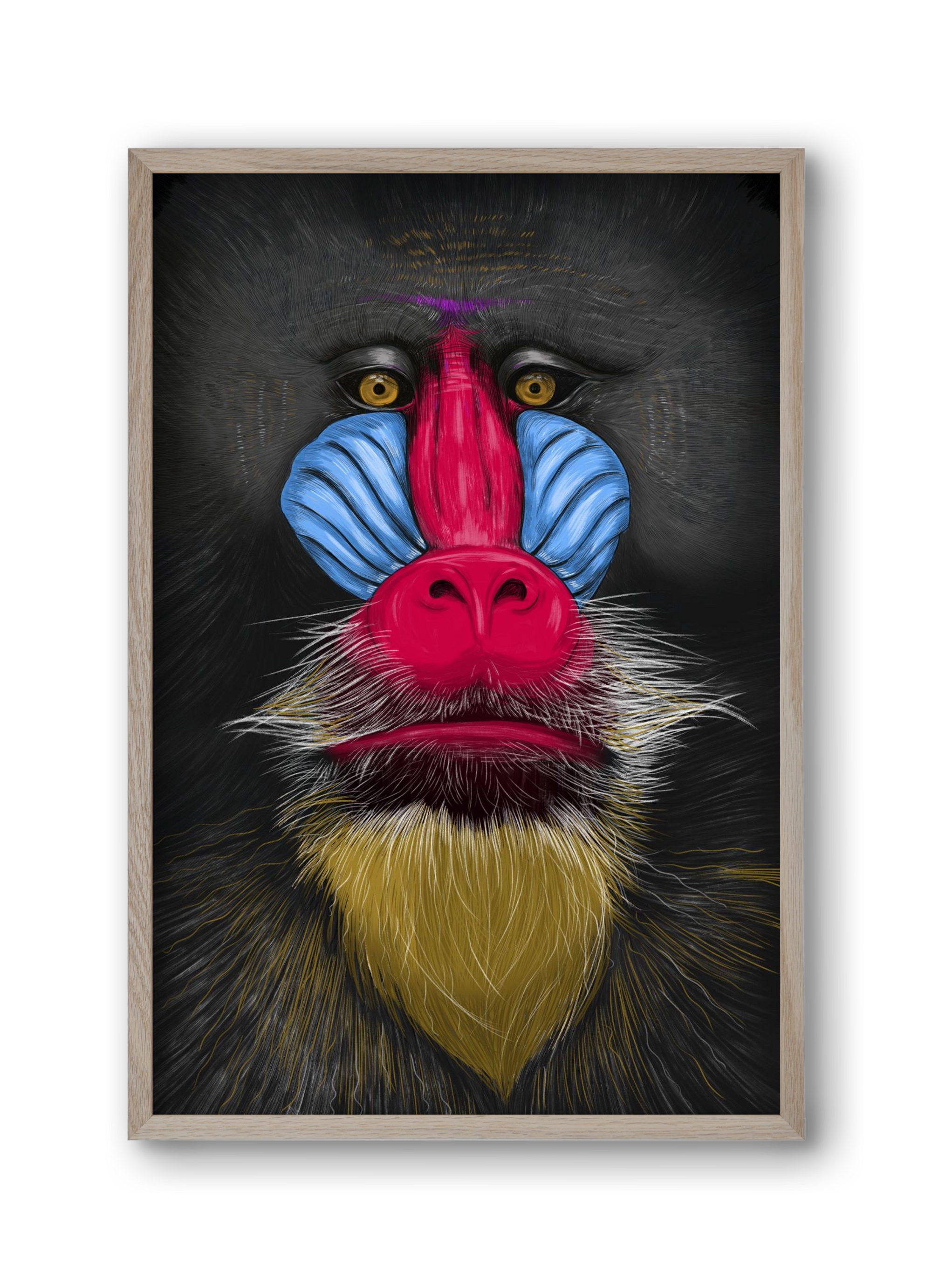 Monkey illustration, 30x45 cm (30x45 cm), Tölgy keret