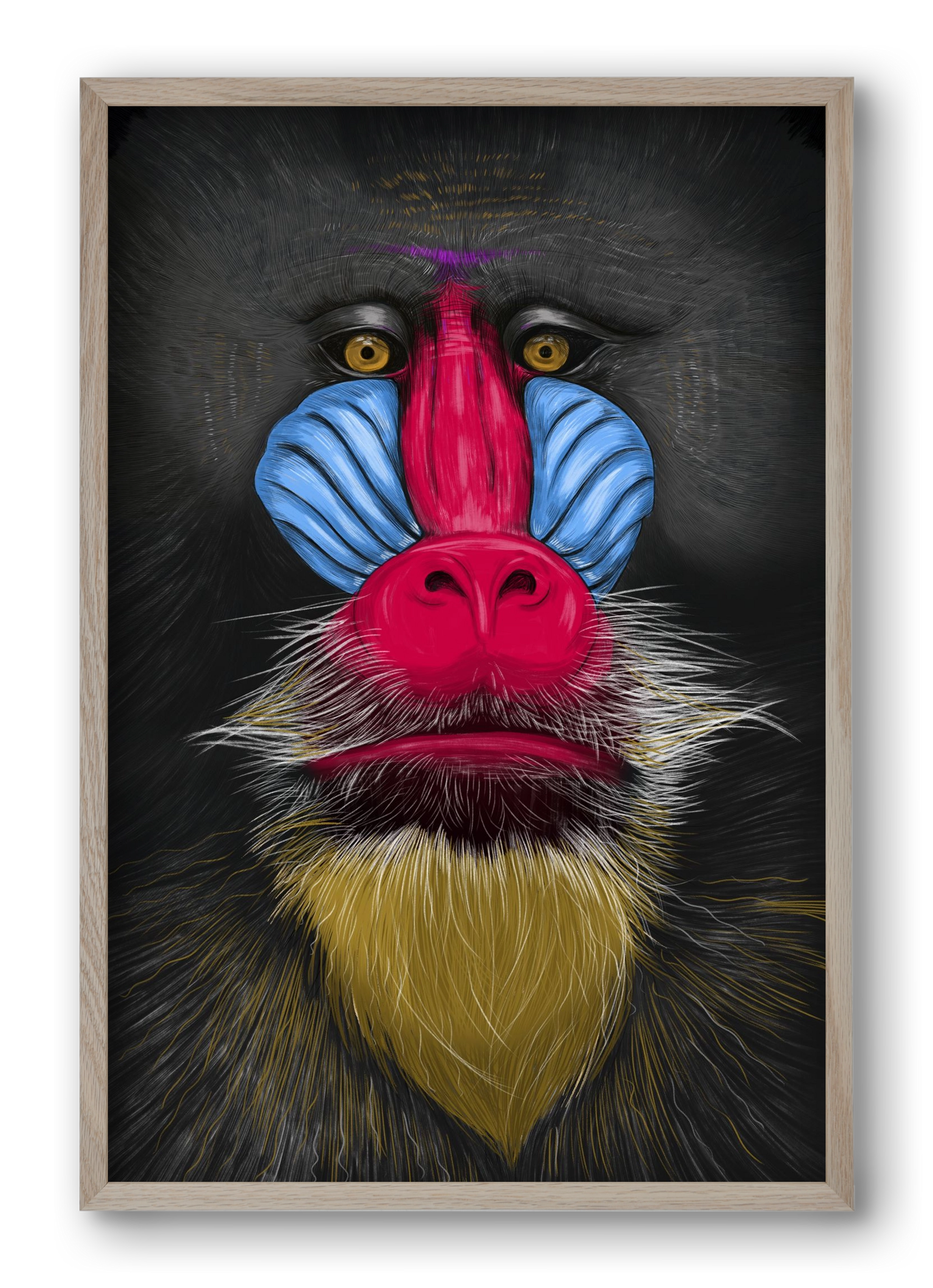Monkey illustration, 40x60 cm (40x60 cm), Tölgy keret
