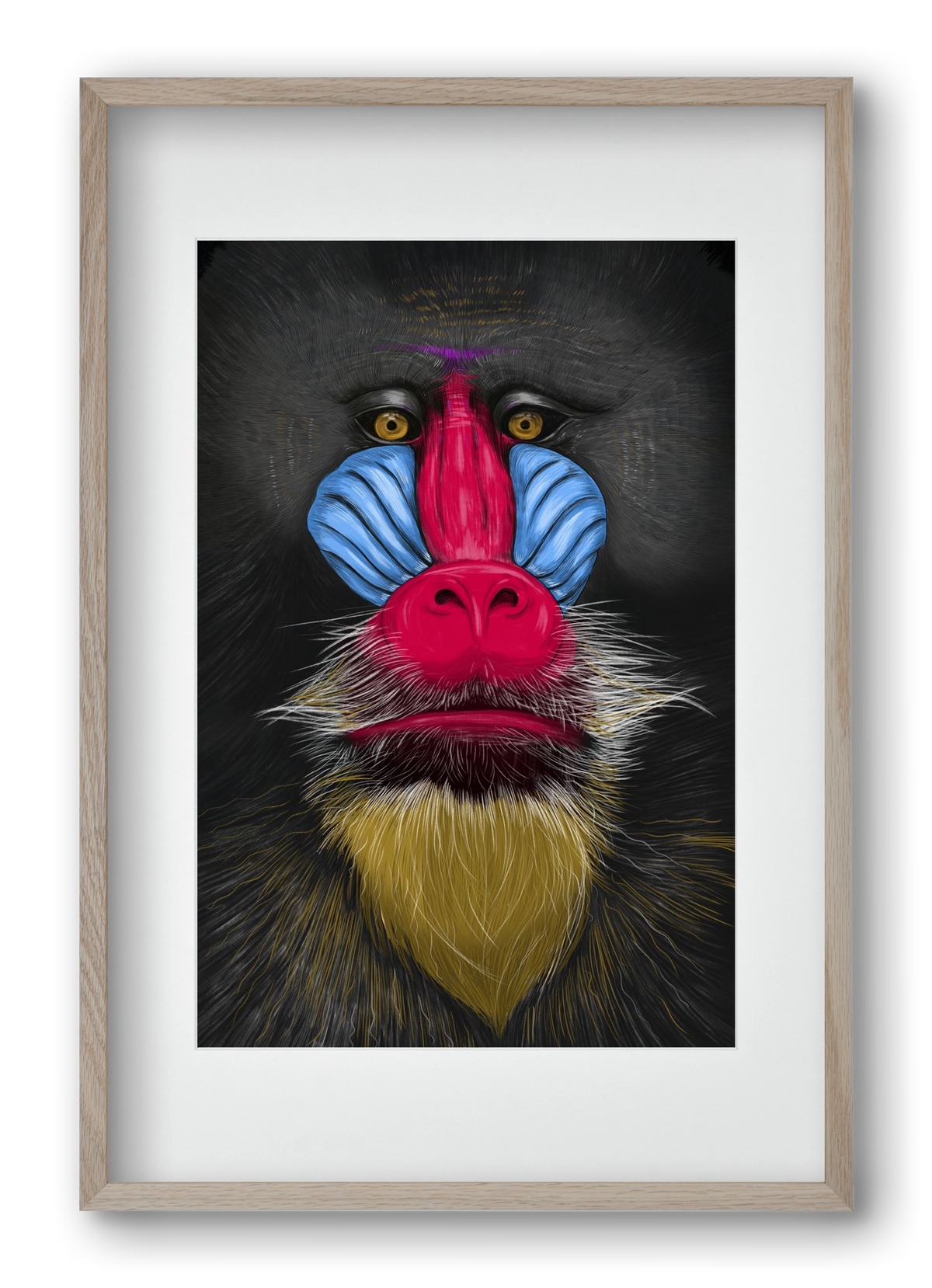 Monkey illustration, 40x60 cm (30x45 cm), Tölgy keret, paszpartuval