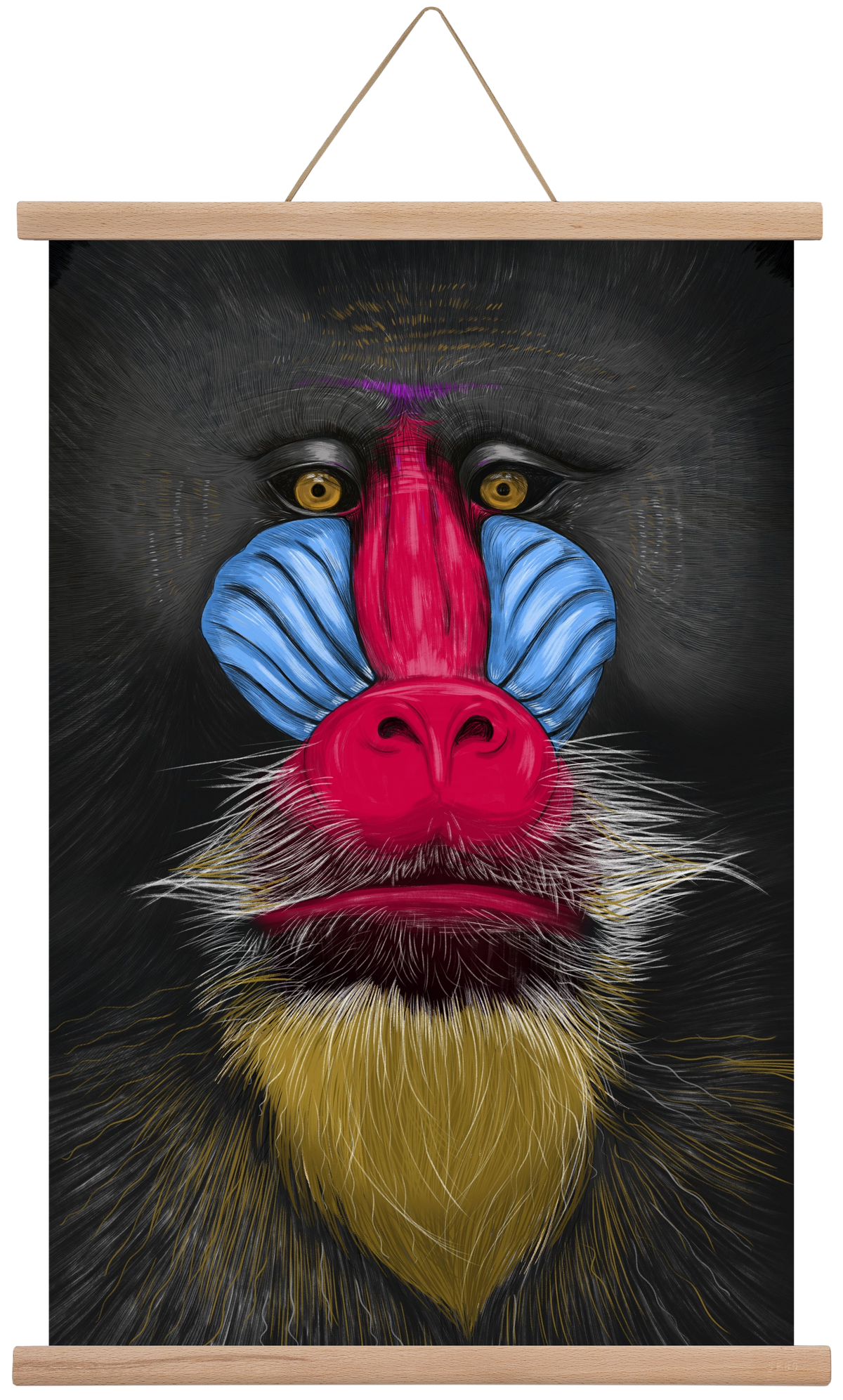 Monkey illustration, 40x60 cm (40x60 cm), Tölgy akasztó