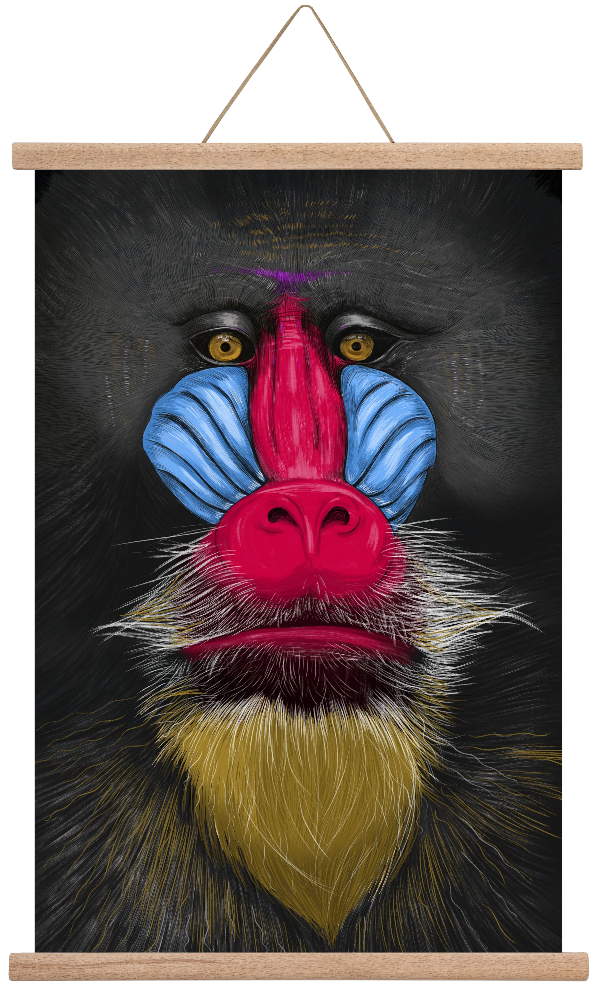 Monkey illustration, 40x60 cm (40x60 cm), Tölgy akasztó