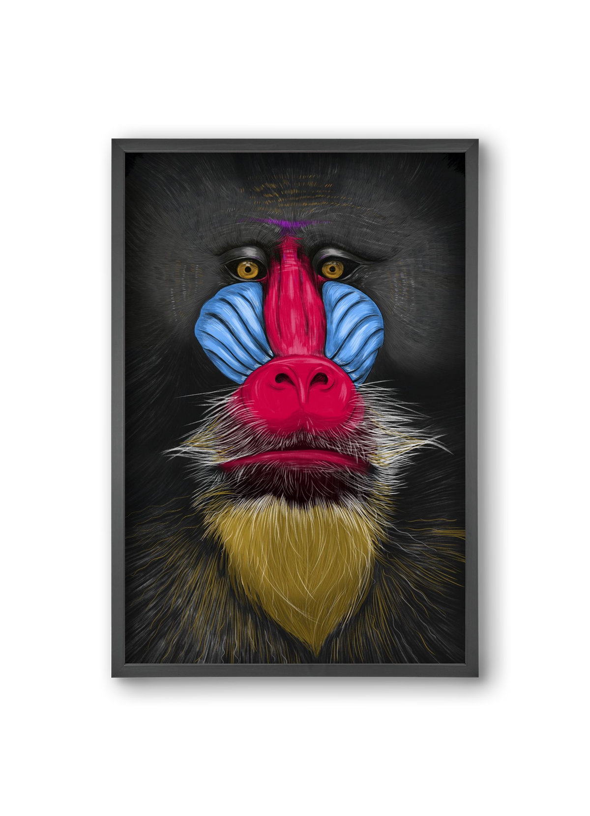 Monkey illustration, 20x30 cm (20x30 cm), Fekete keret