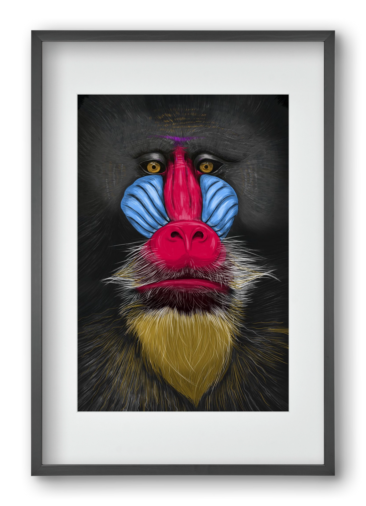 Monkey illustration, 40x60 cm (30x45 cm), Fekete keret, paszpartuval