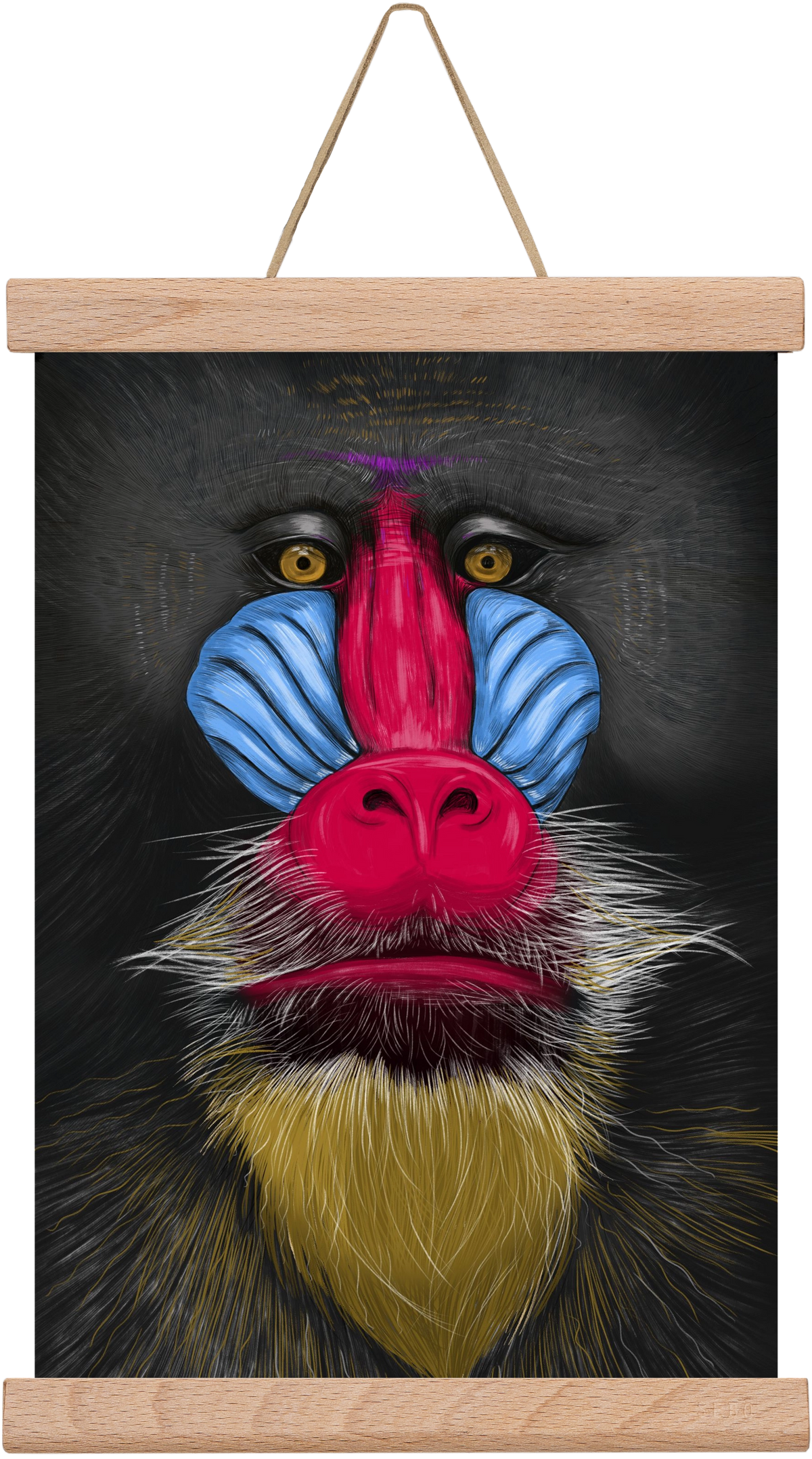 Monkey illustration, 20x30 cm (20x30 cm), Tölgy akasztó