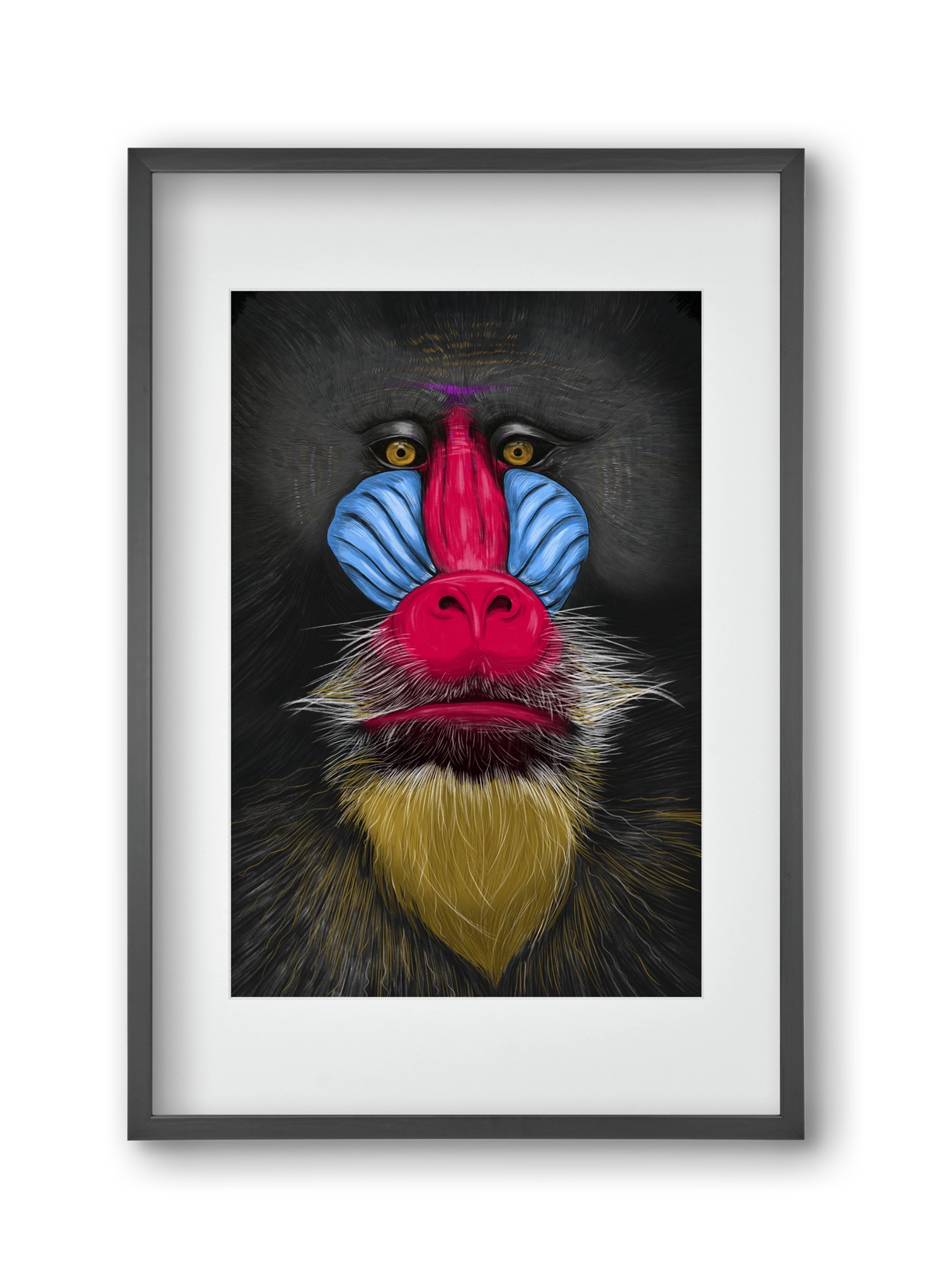 Monkey illustration, 30x45 cm (20x30 cm), Fekete keret, paszpartuval