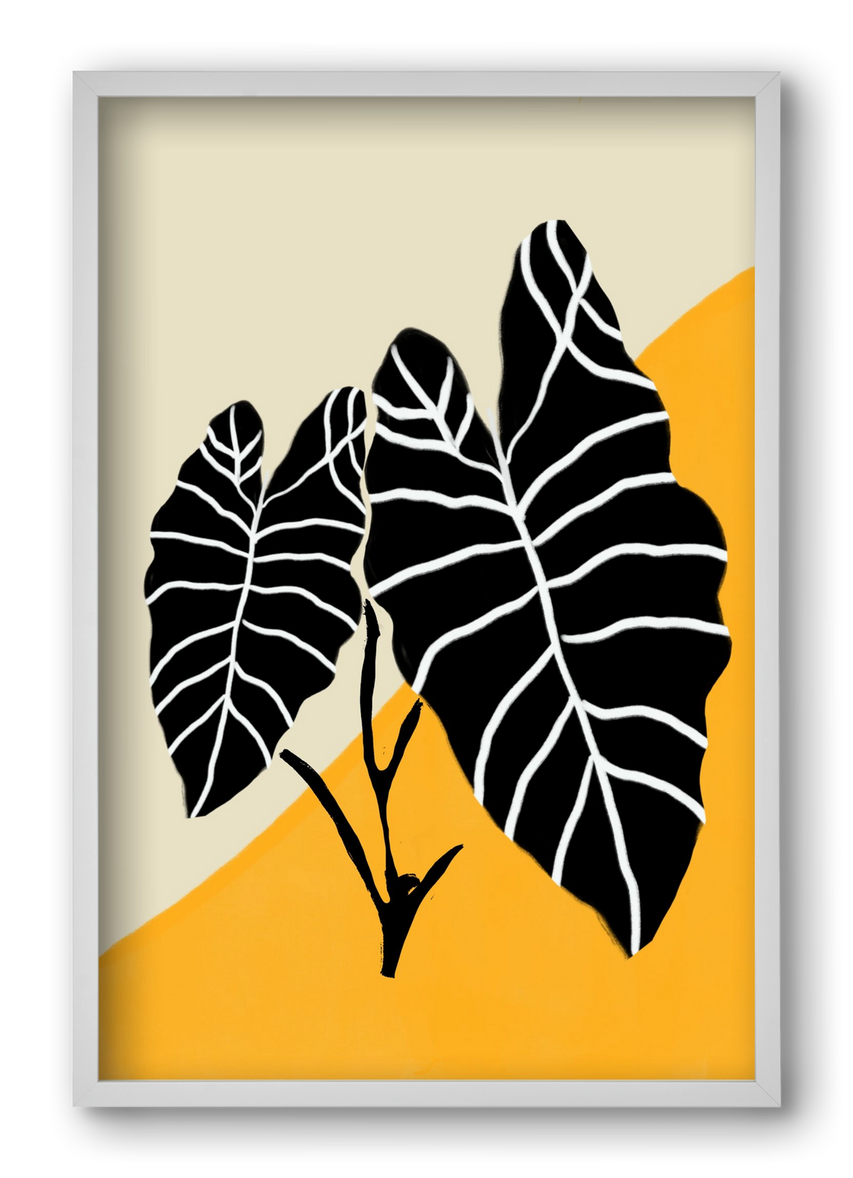 Alocasia , 40x60 cm (40x60 cm), Fehér keret