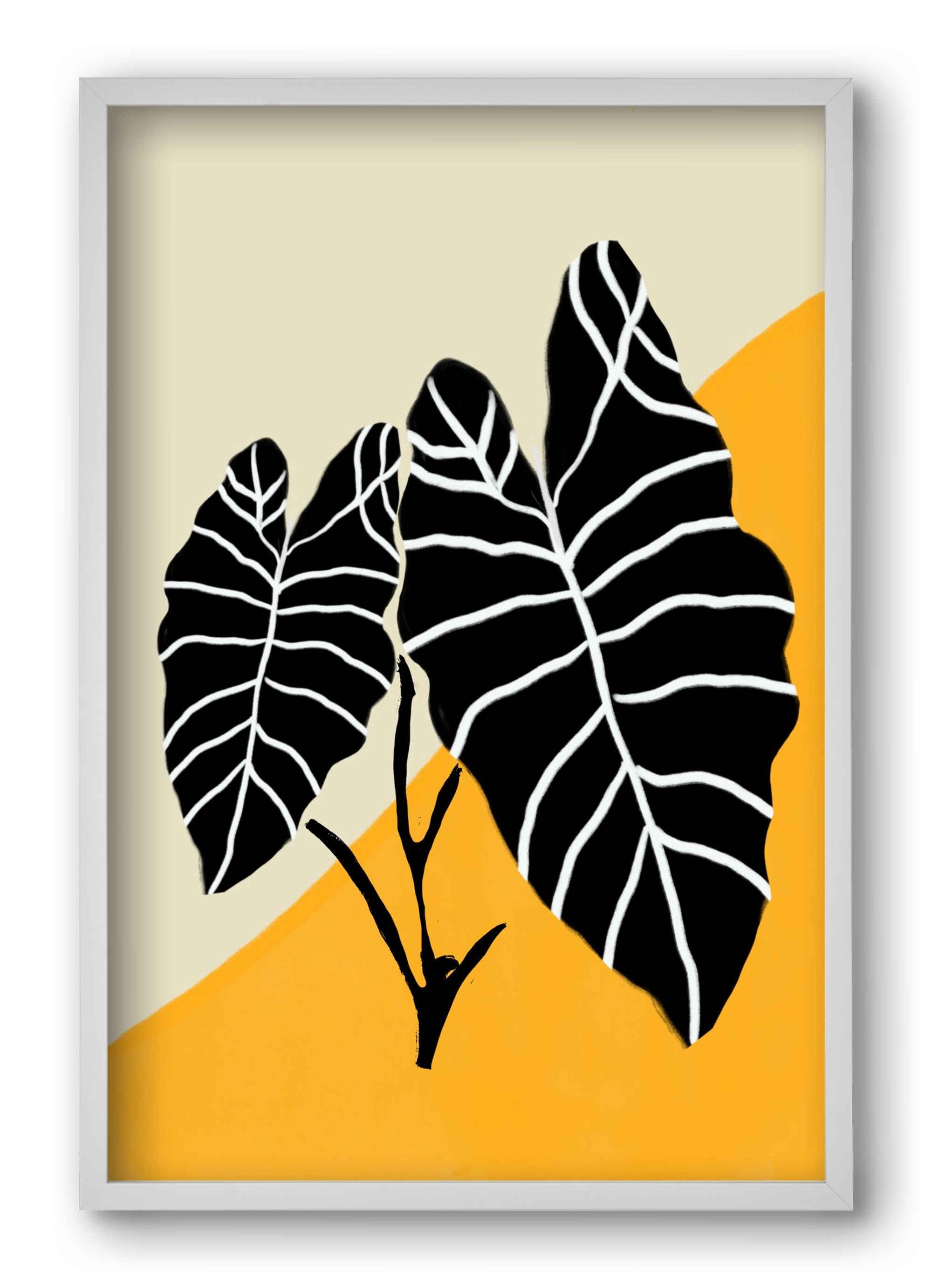 Alocasia , 40x60 cm (40x60 cm), Fehér keret