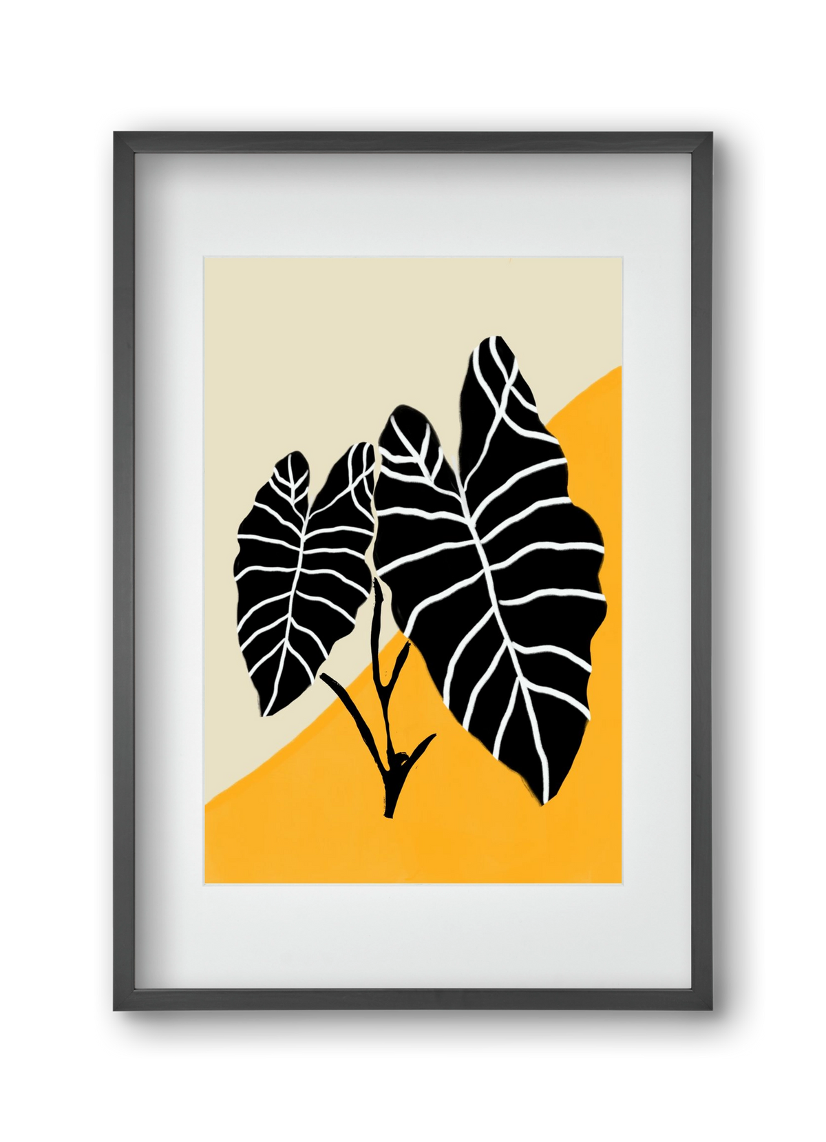 Alocasia , 30x45 cm (20x30 cm), Fekete keret, paszpartuval