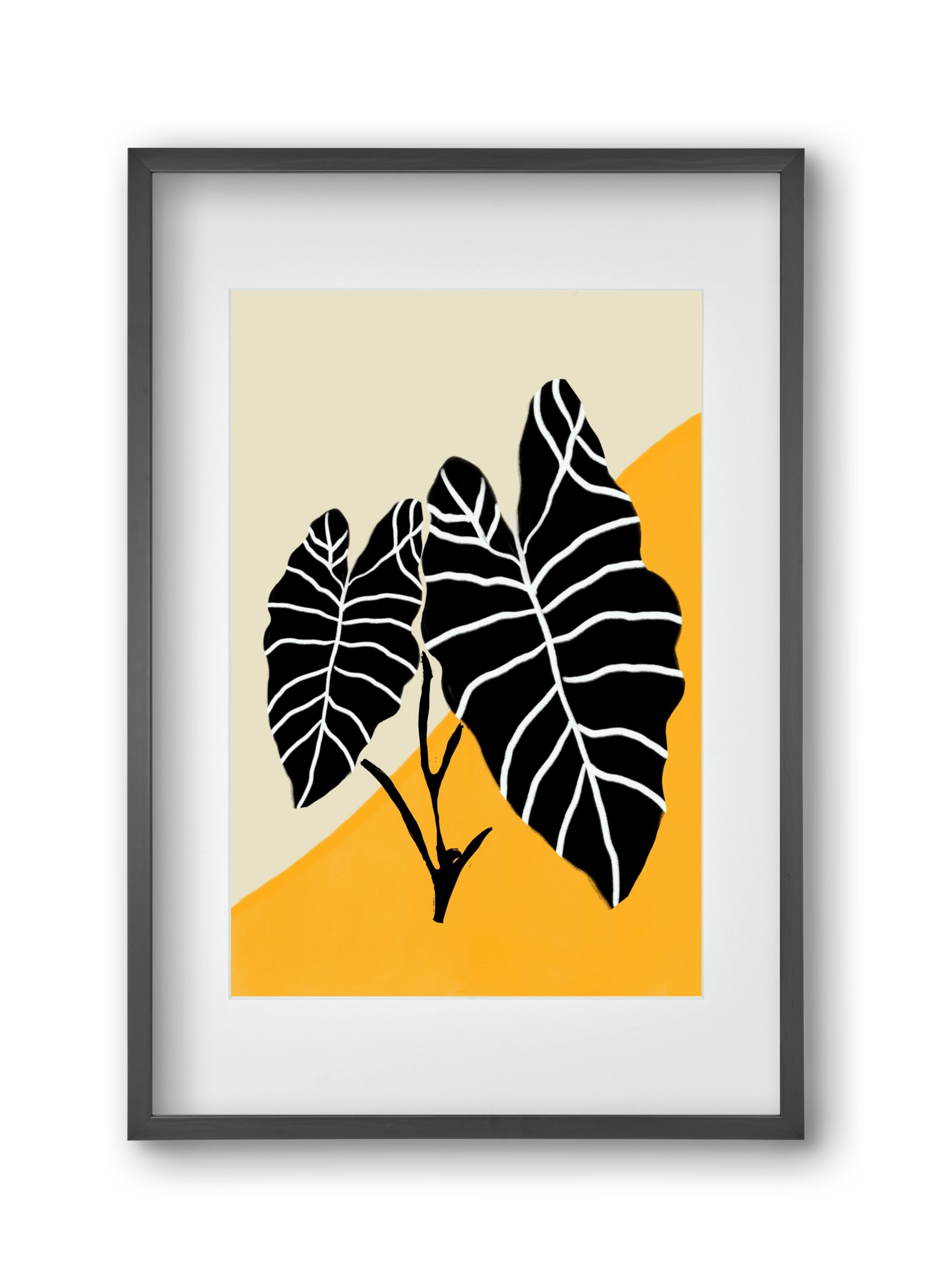 Alocasia , 30x45 cm (20x30 cm), Fekete keret, paszpartuval