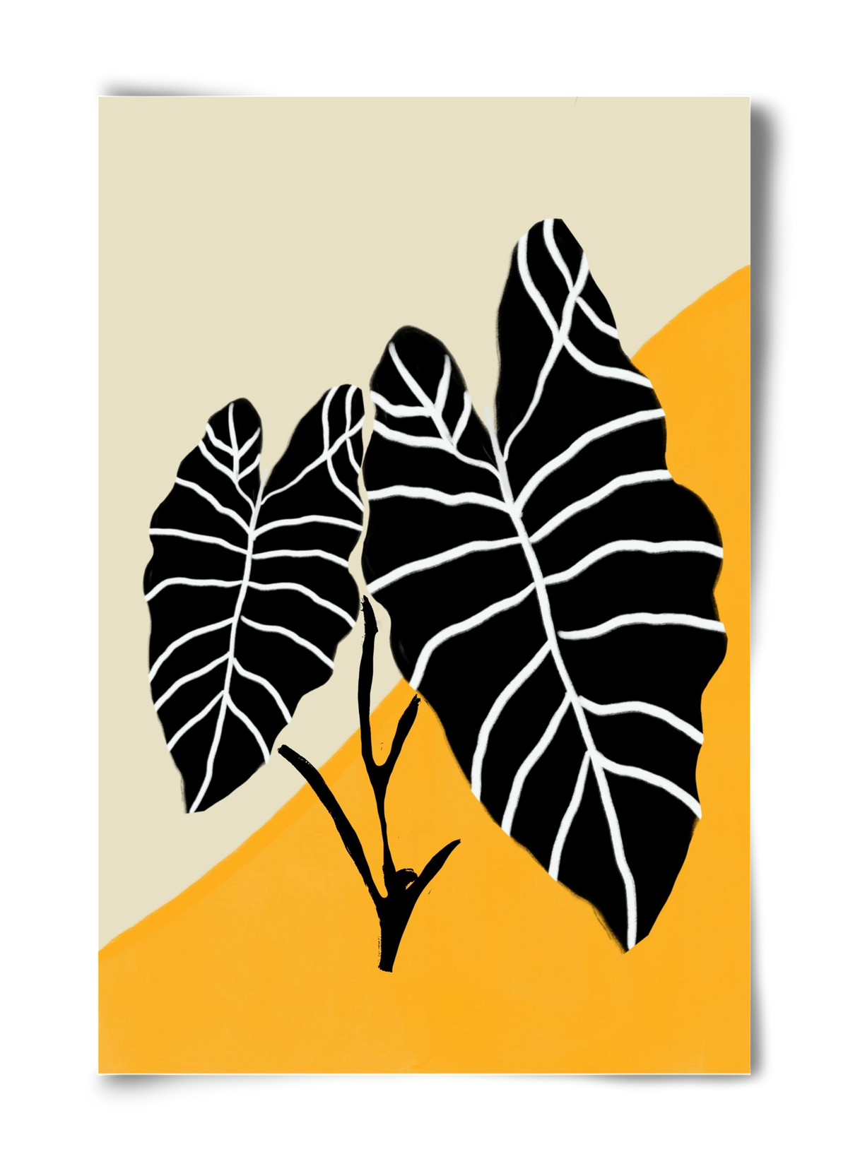 Alocasia , 40x60 cm, Keret nélkül