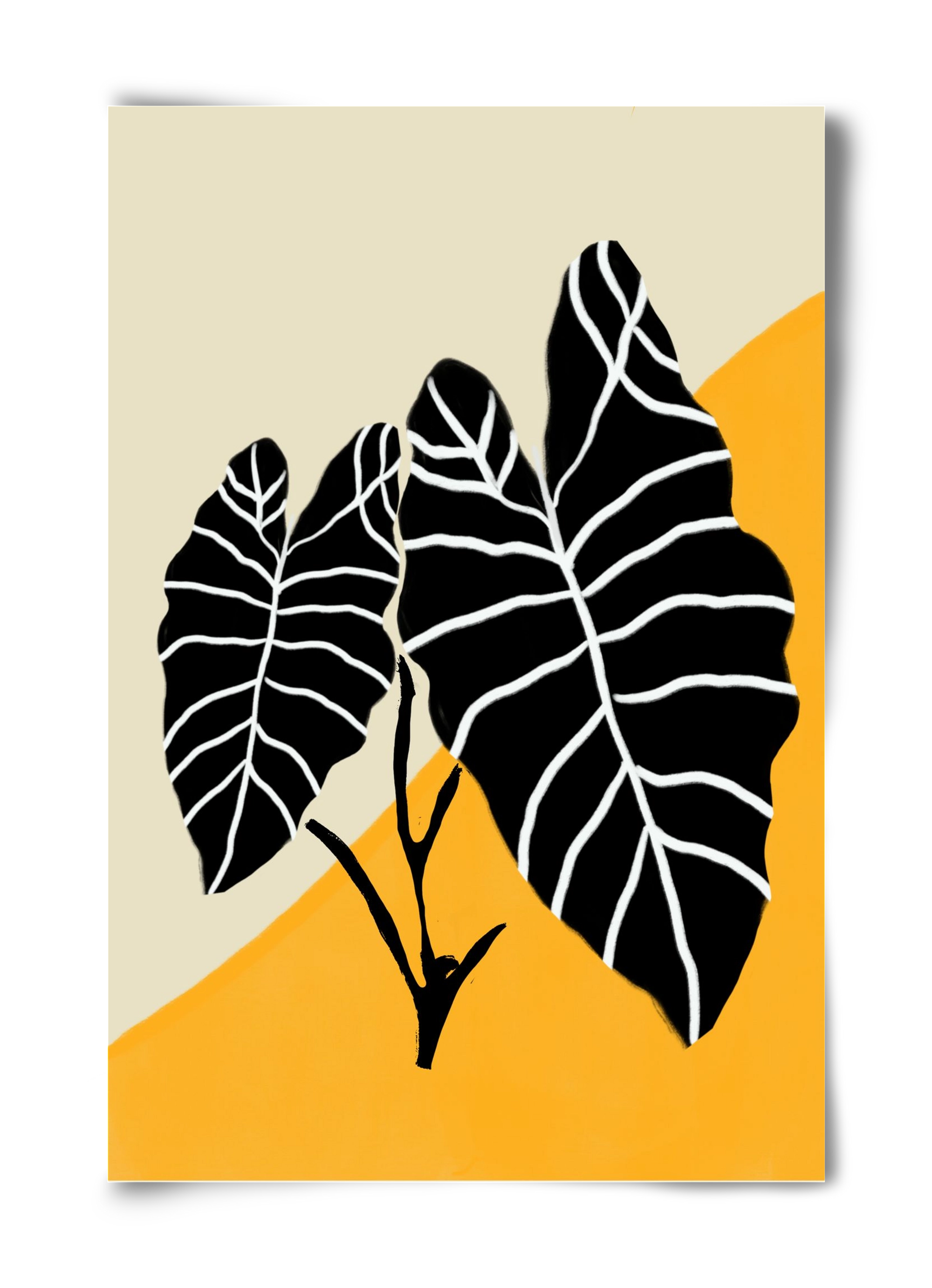 Alocasia , 40x60 cm, Keret nélkül