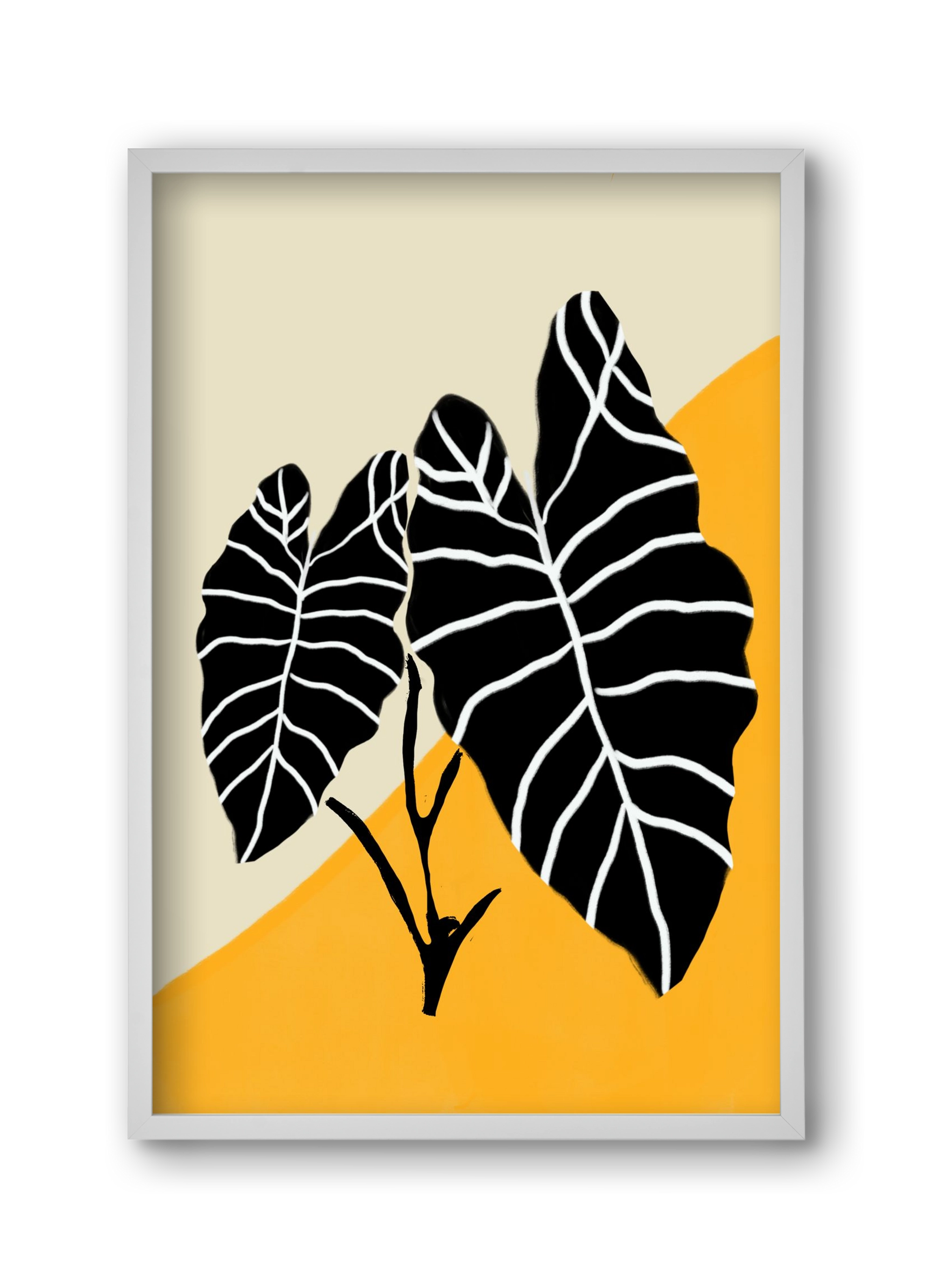 Alocasia , 30x45 cm (30x45 cm), Fehér keret