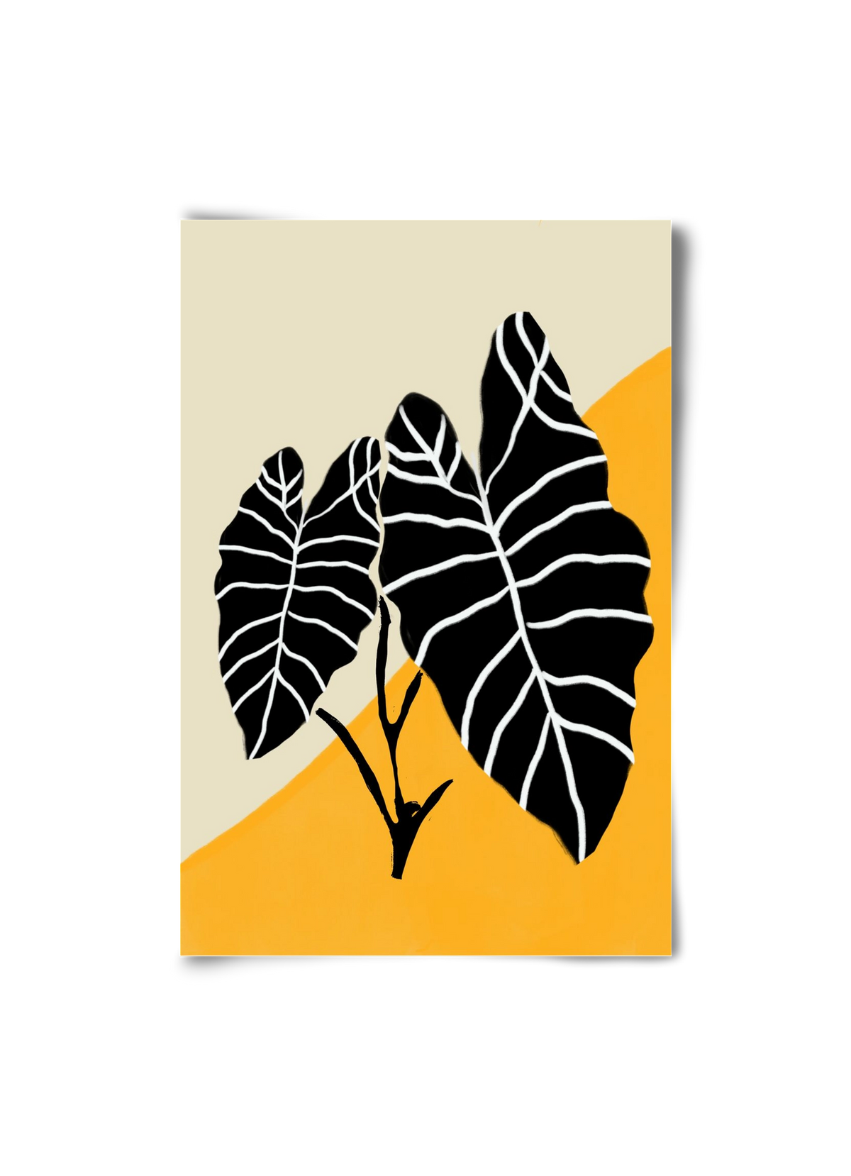 Alocasia , 20x30 cm, Keret nélkül