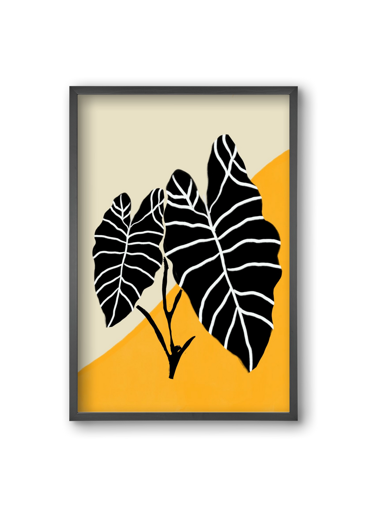 Alocasia , 20x30 cm (20x30 cm), Fekete keret