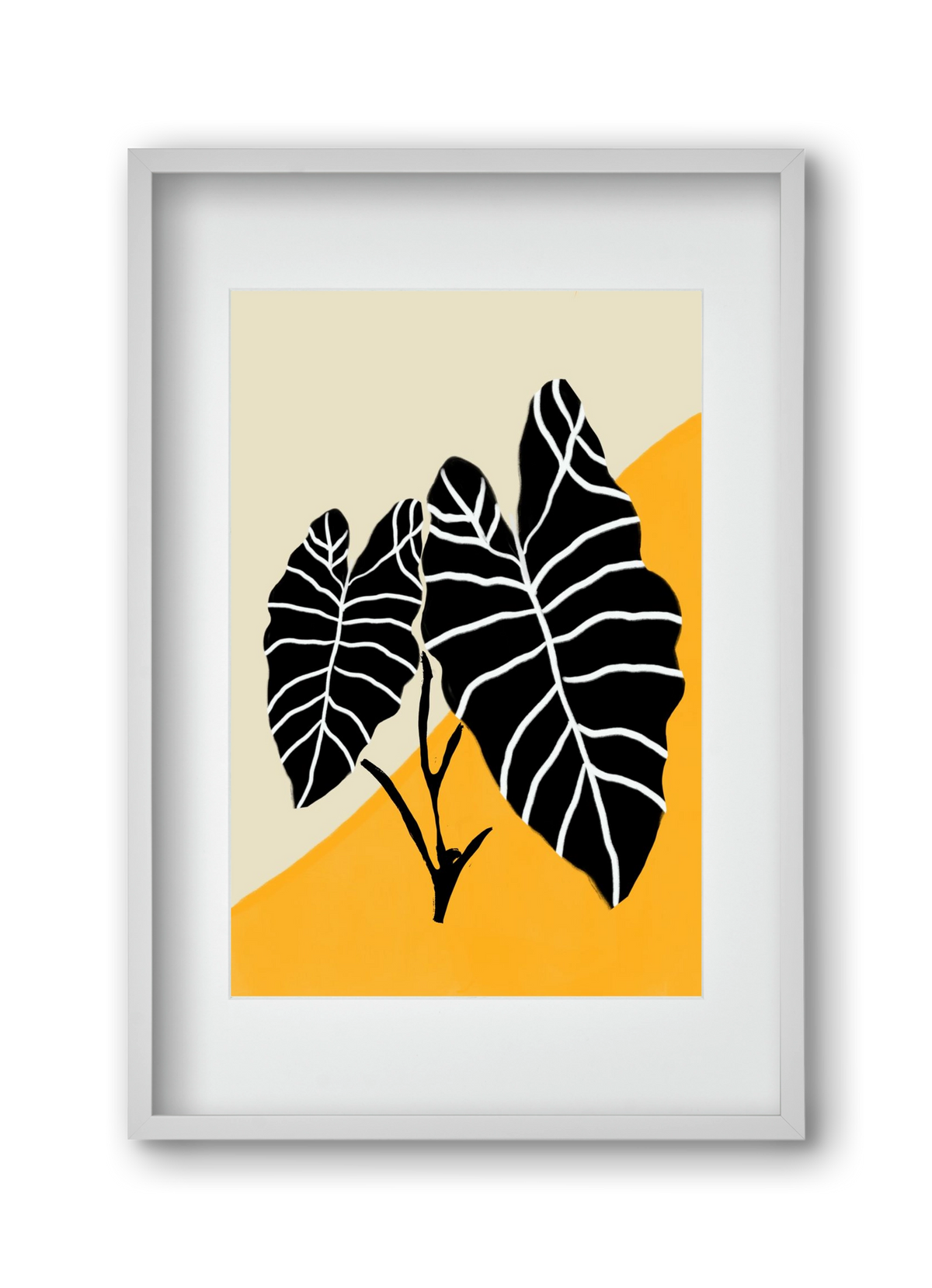 Alocasia , 30x45 cm (20x30 cm), Fehér keret, paszpartuval
