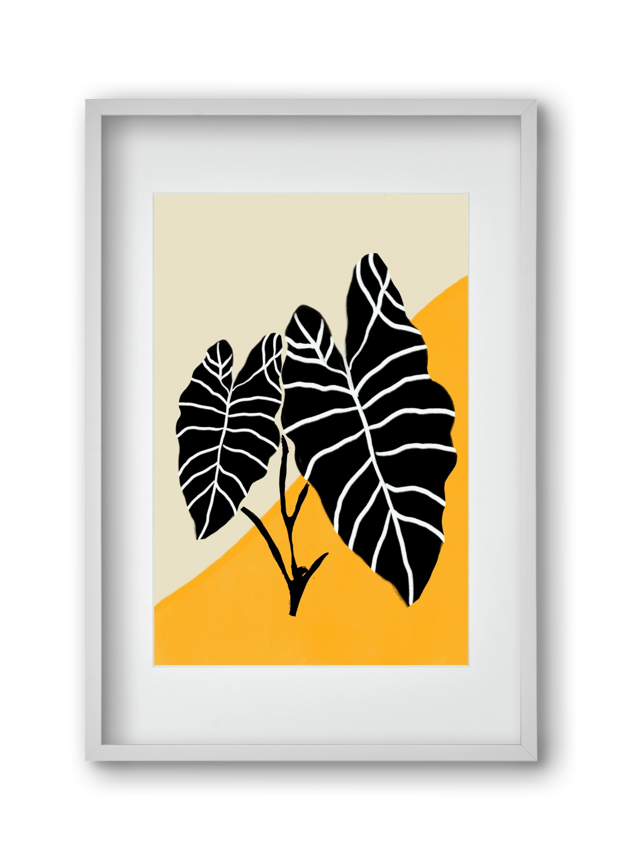 Alocasia , 30x45 cm (20x30 cm), Fehér keret, paszpartuval