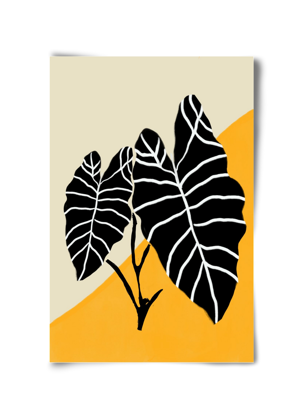 Alocasia , 30x45 cm, Keret nélkül