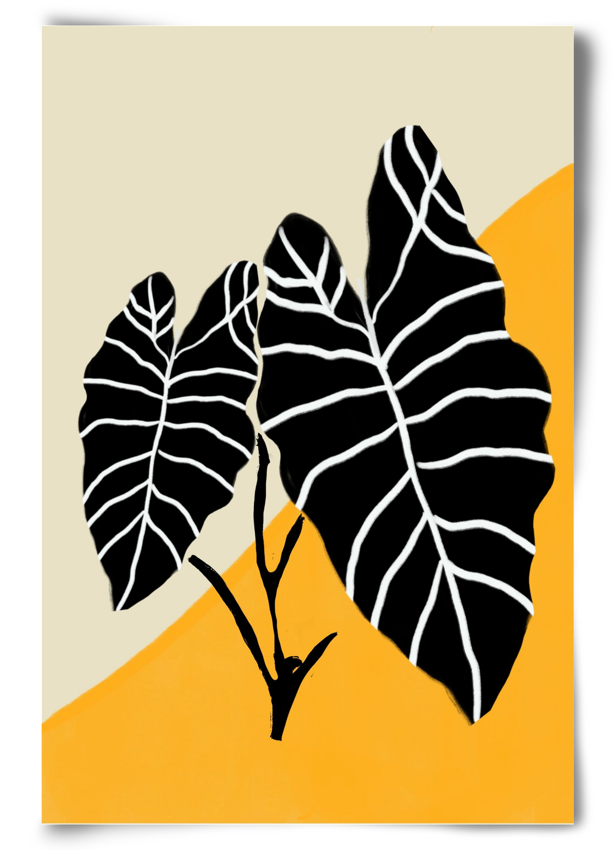 Alocasia , 60x90 cm, Keret nélkül
