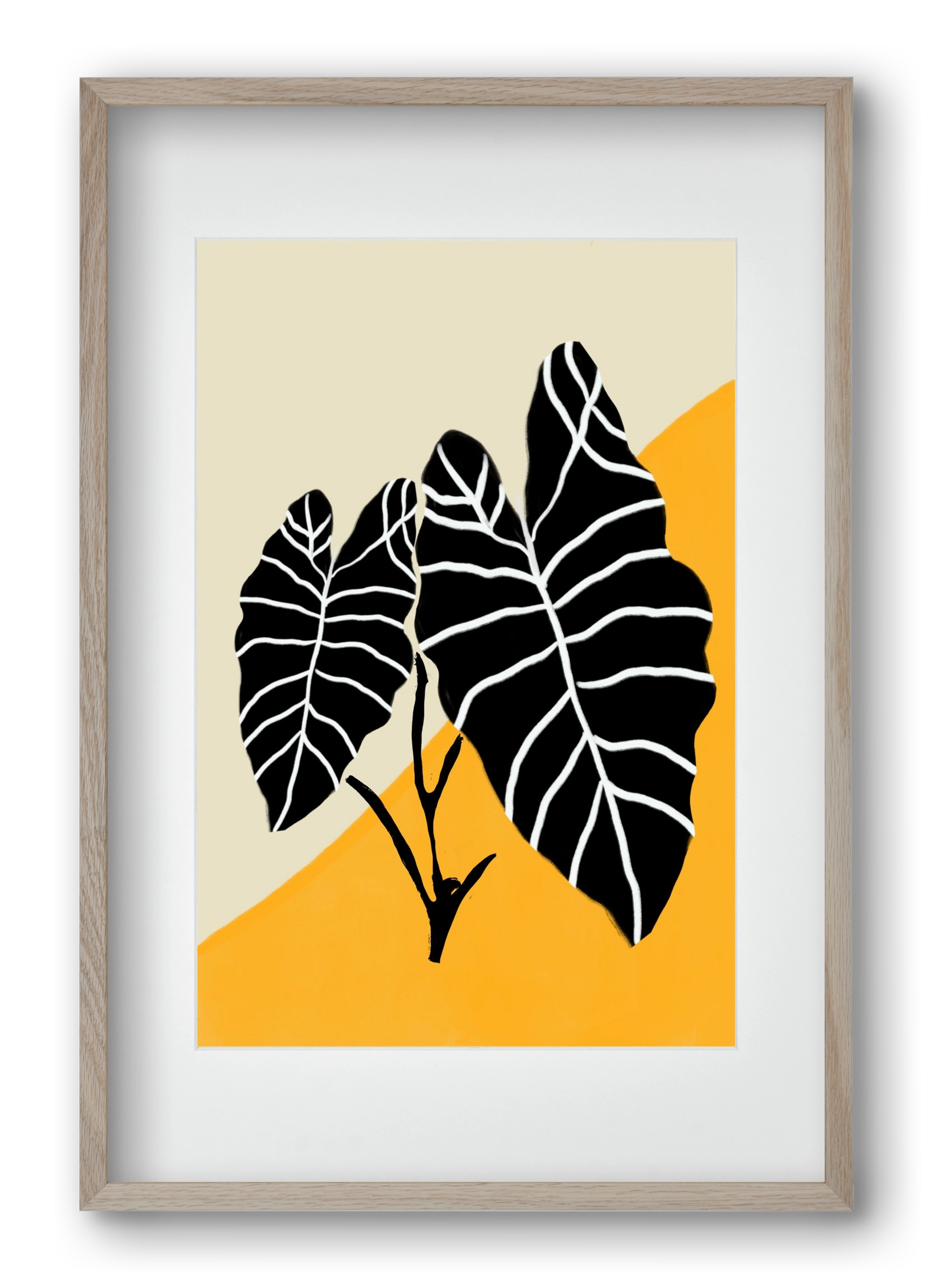 Alocasia , 40x60 cm (30x45 cm), Tölgy keret, paszpartuval