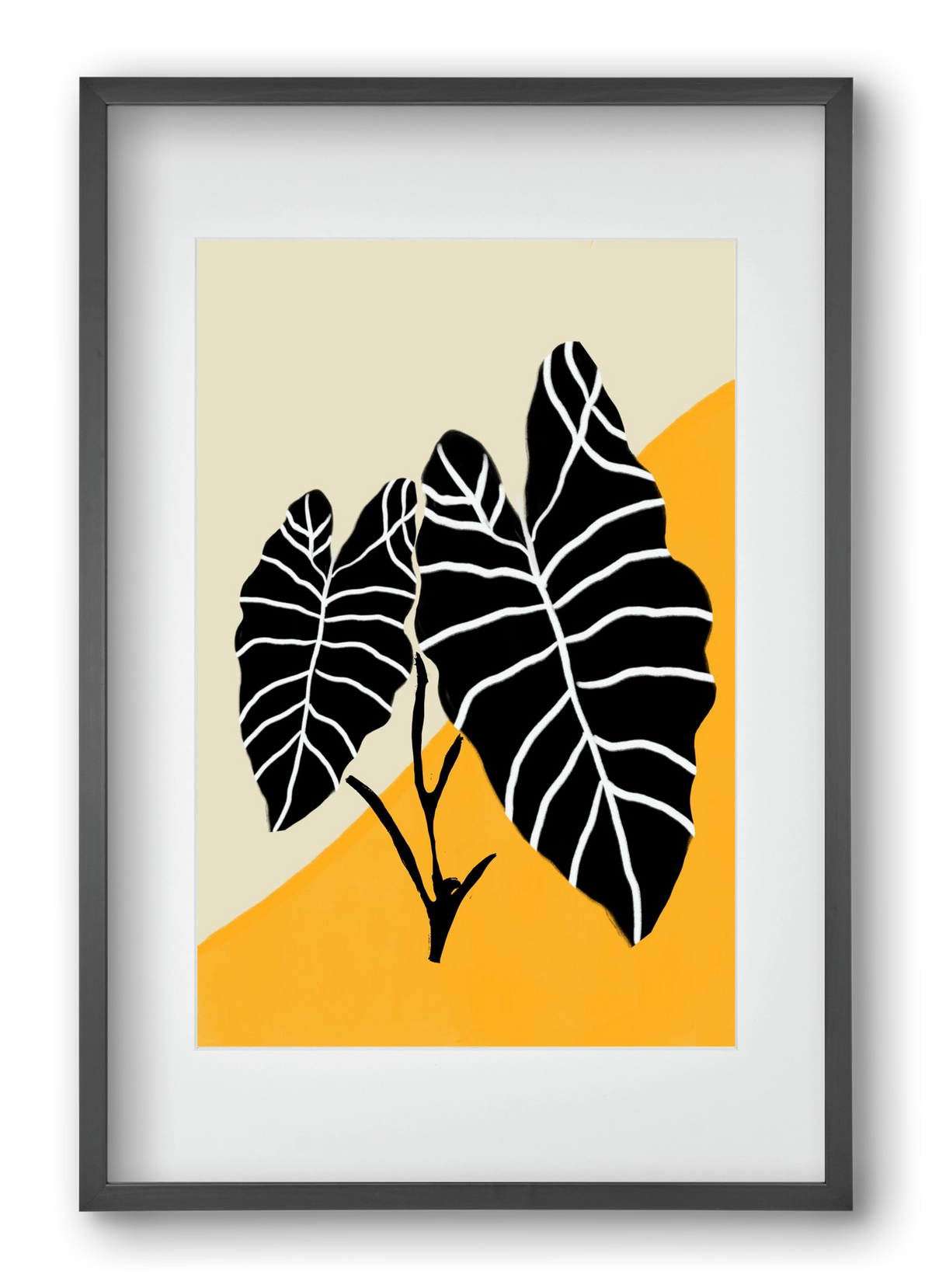 Alocasia , 40x60 cm (30x45 cm), Fekete keret, paszpartuval