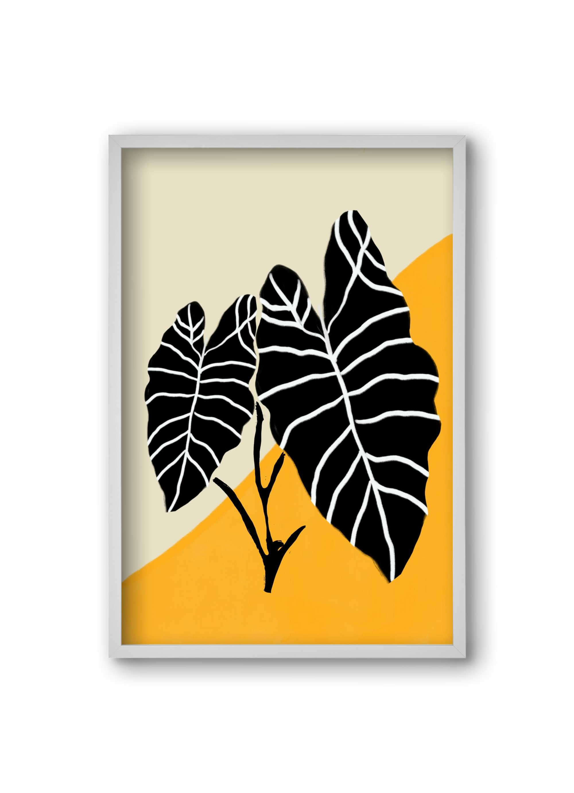 Alocasia , 20x30 cm (20x30 cm), Fehér keret