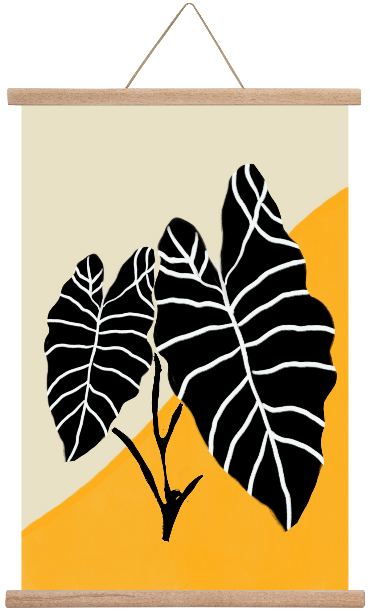 Alocasia , 40x60 cm (40x60 cm), Tölgy akasztó