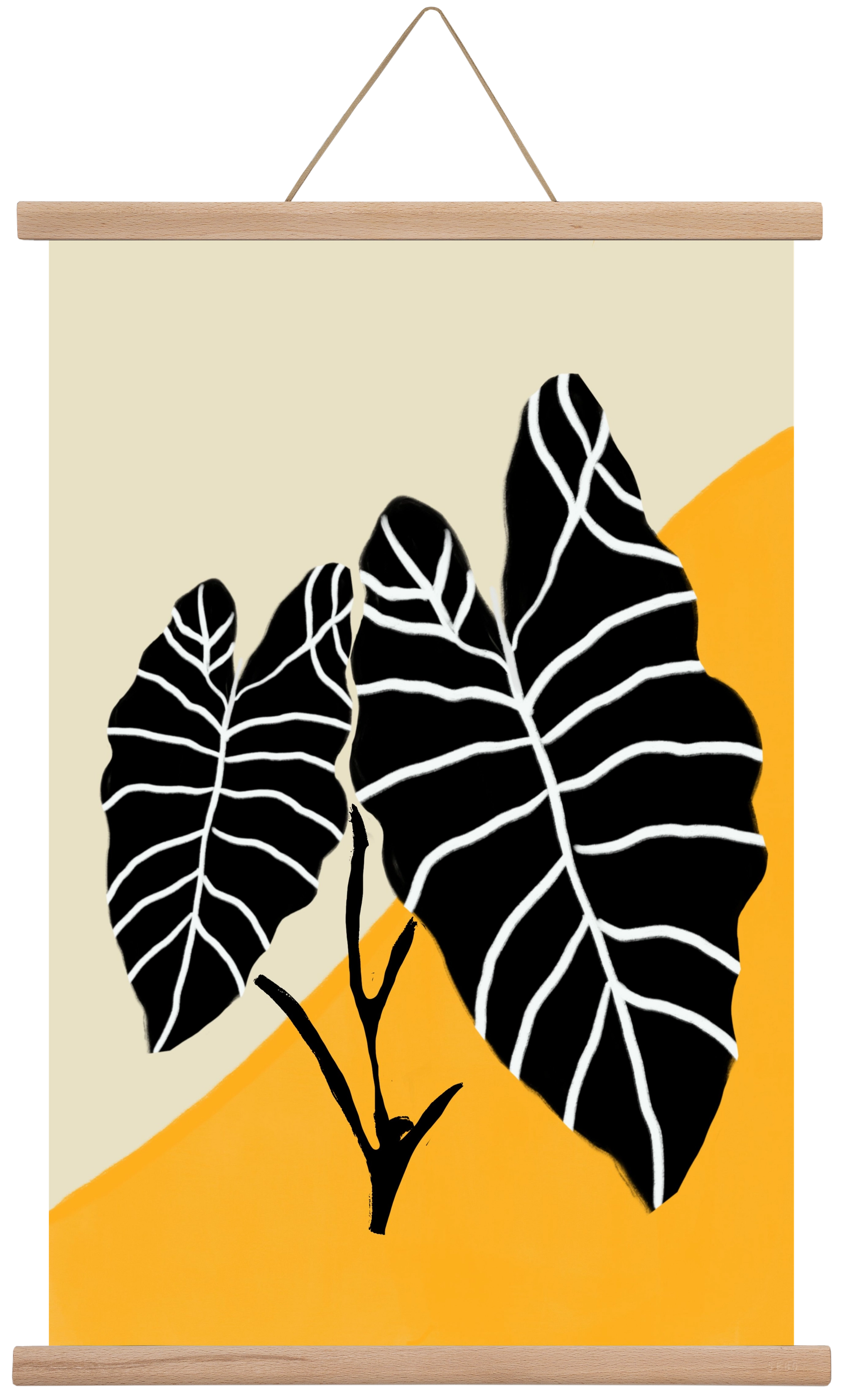 Alocasia , 40x60 cm (40x60 cm), Tölgy akasztó