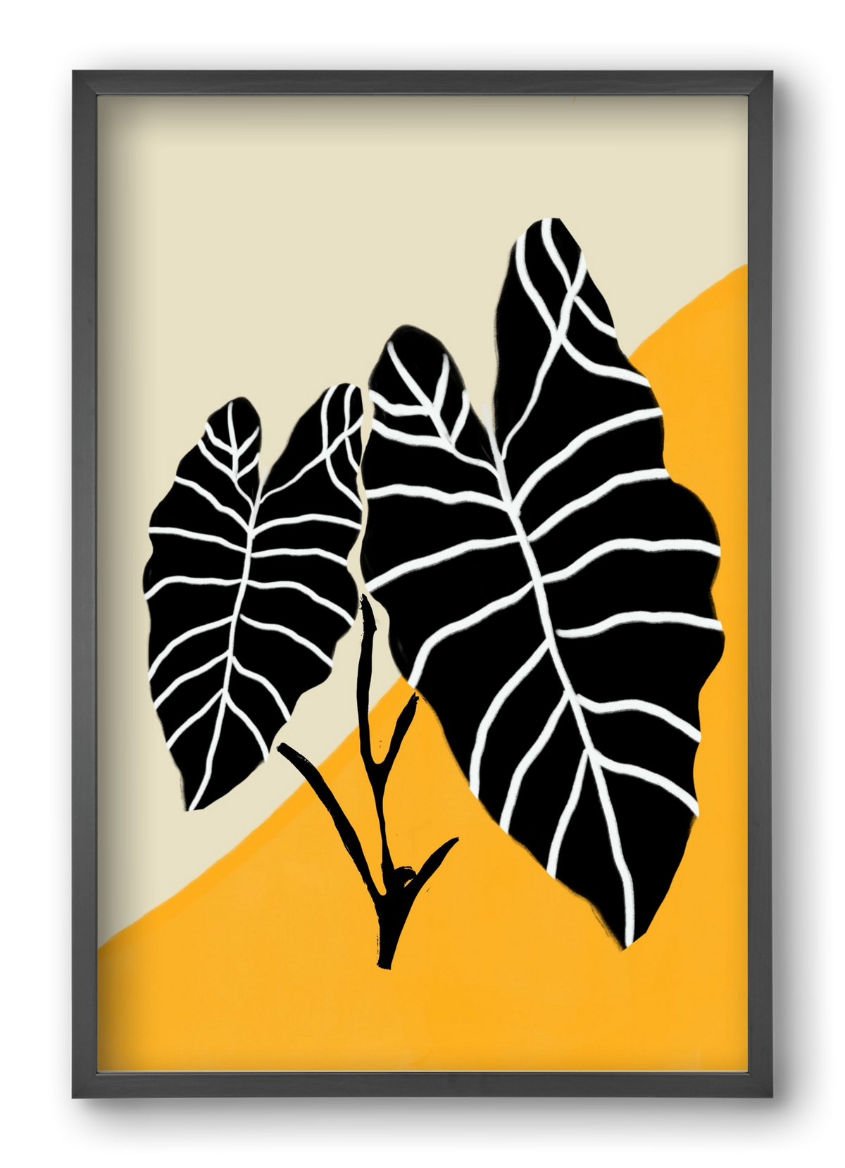 Alocasia , 40x60 cm (40x60 cm), Fekete keret