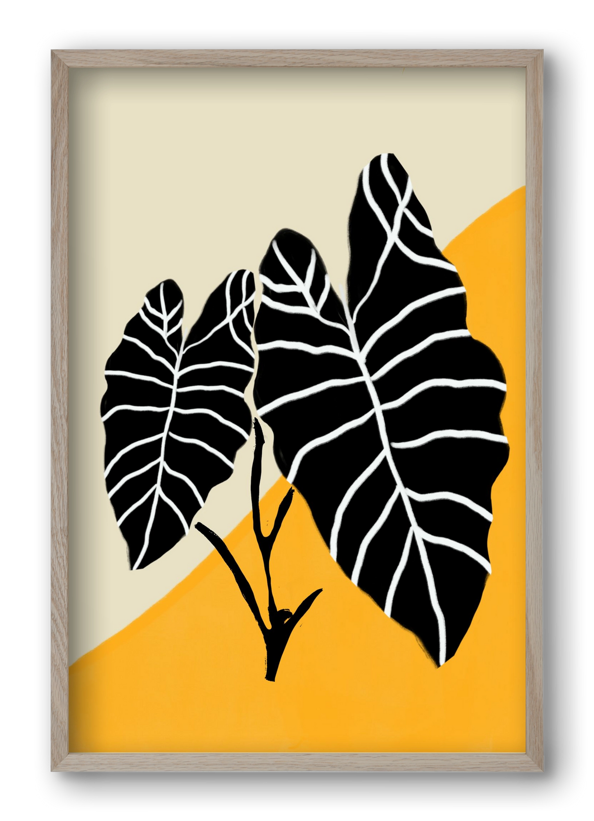 Alocasia , 40x60 cm (40x60 cm), Tölgy keret