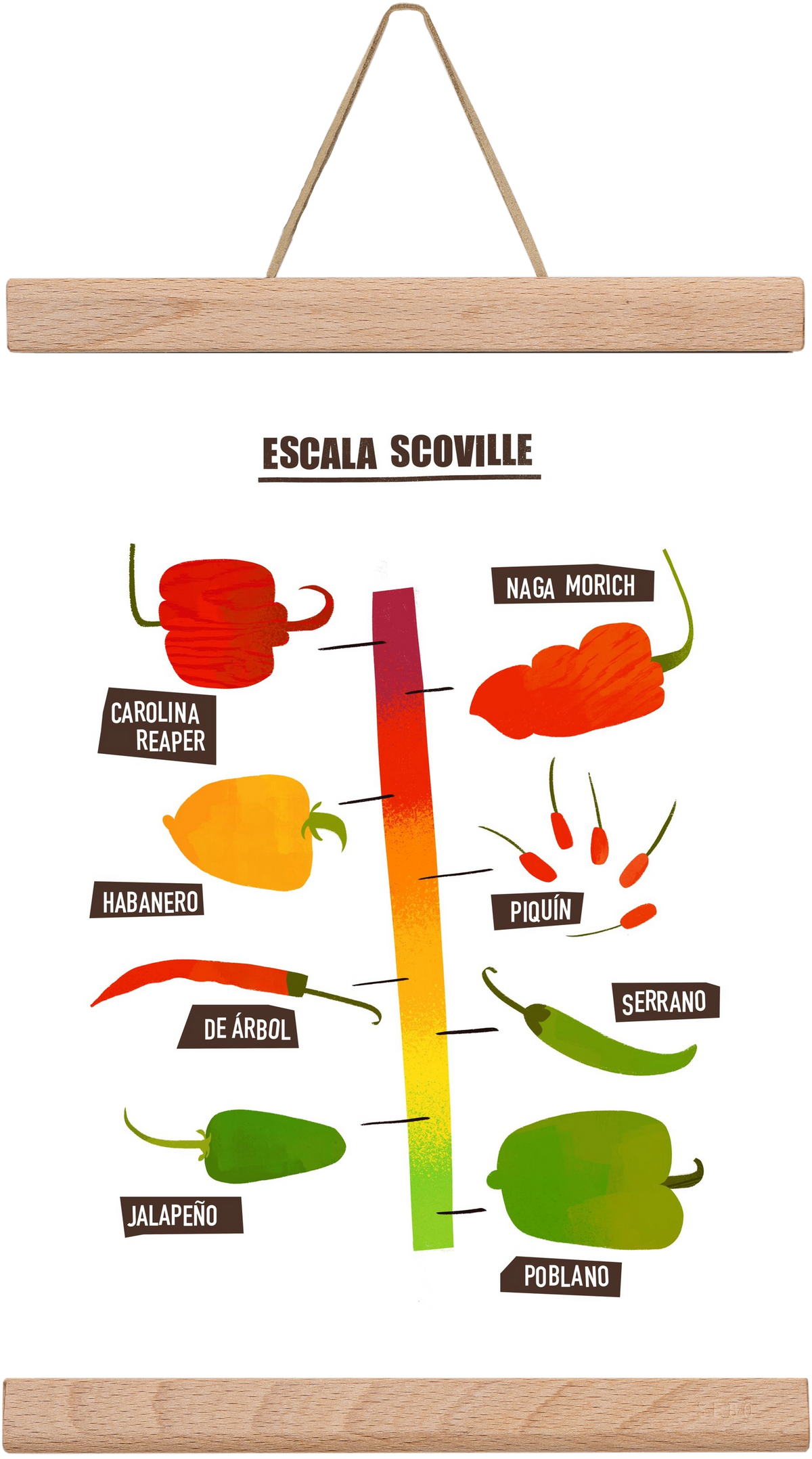 Spicy levels, 20x30 cm (20x30 cm), Tölgy akasztó