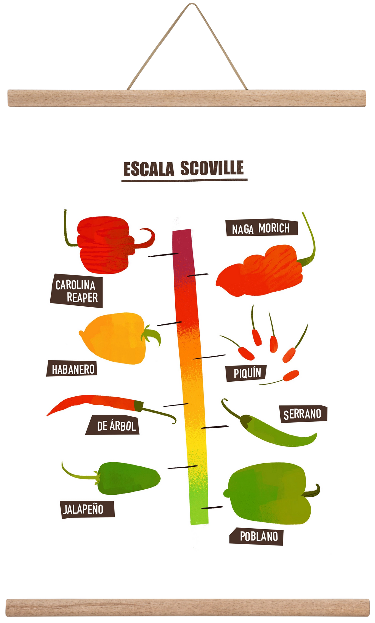 Spicy levels, 40x60 cm (40x60 cm), Tölgy akasztó