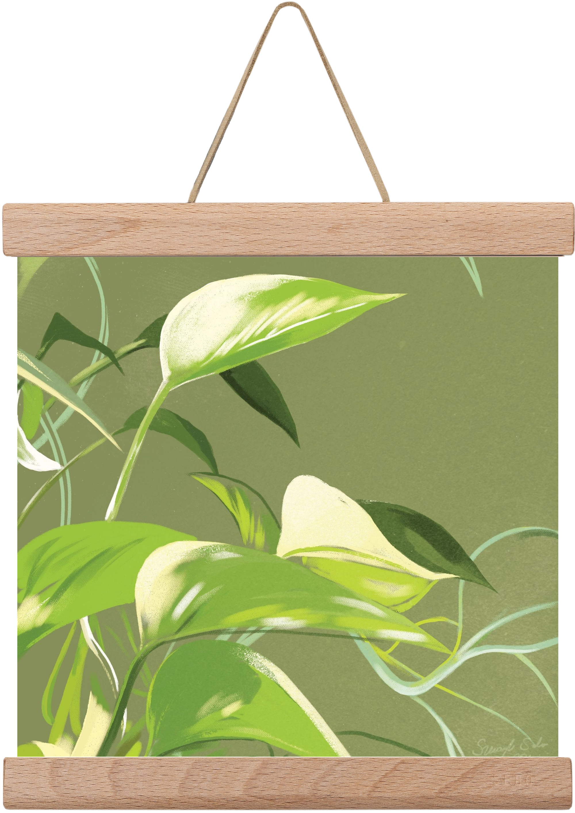 Útvonalak II., 20x20 cm (20x20 cm), Tölgy akasztó