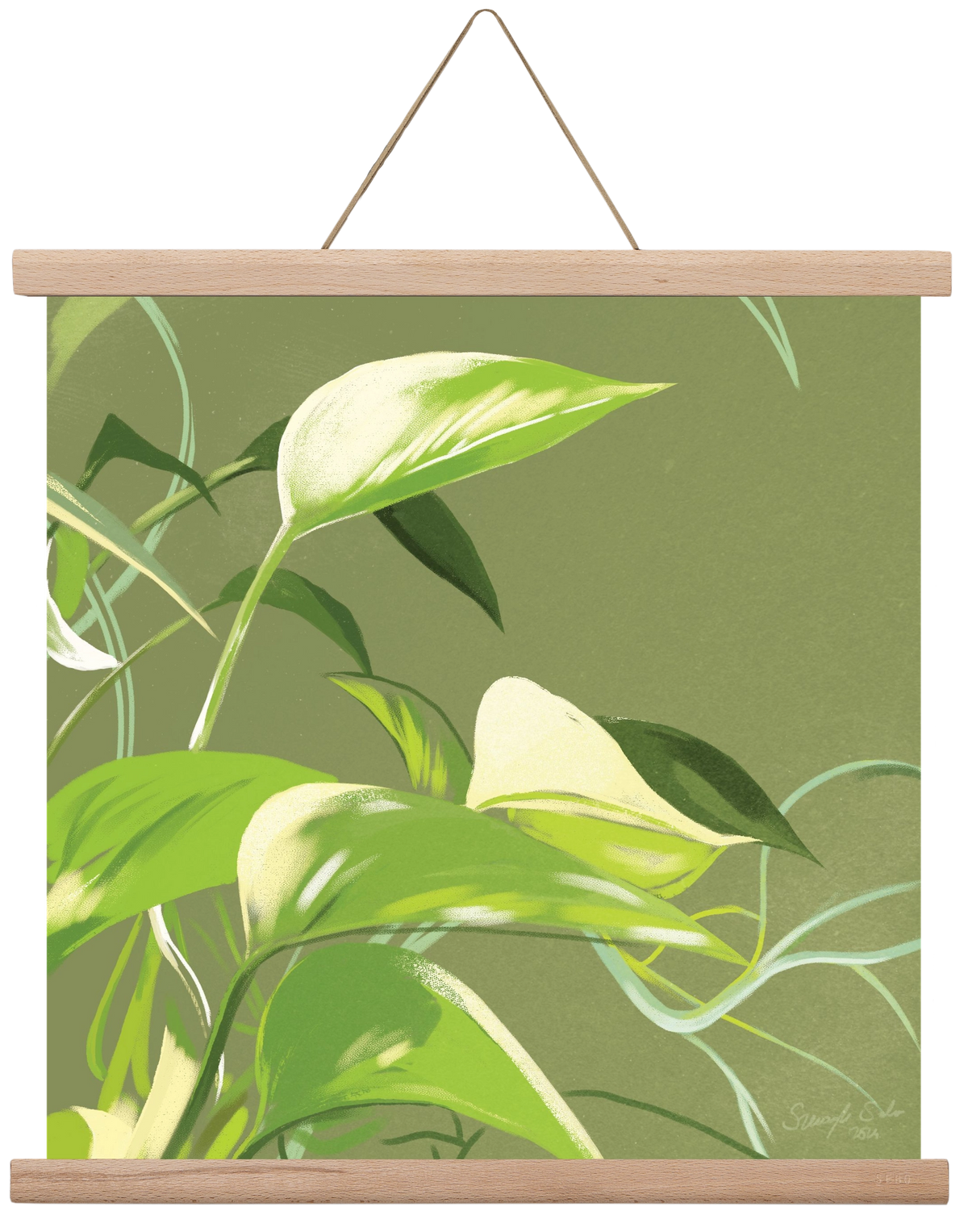 Útvonalak II., 40x40 cm (40x40 cm), Tölgy akasztó