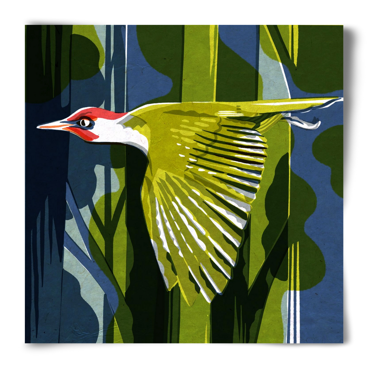 Zöld harkály, 50x50 cm, Keret nélkül