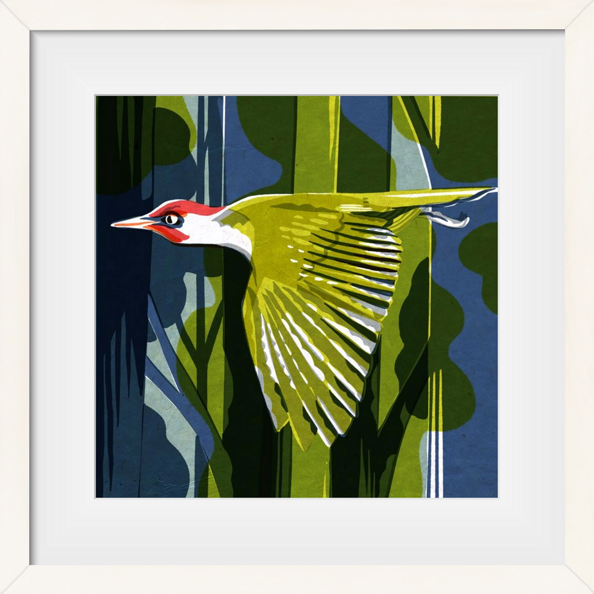 Zöld harkály, 50x50 cm (40x40 cm), Fehér keret, paszpartuval