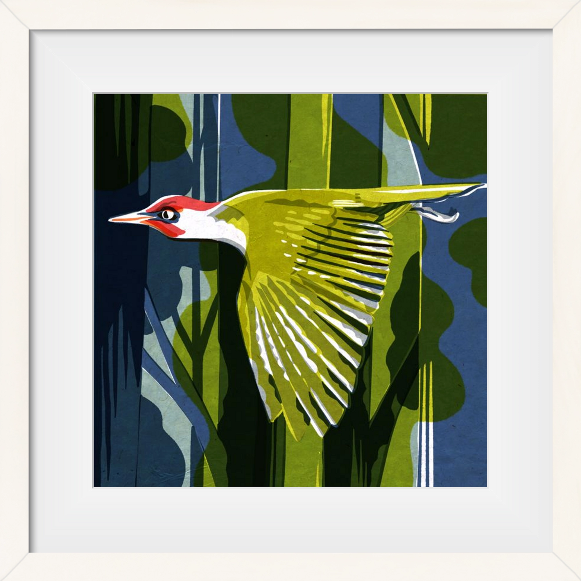 Zöld harkály, 50x50 cm (40x40 cm), Fehér keret, paszpartuval