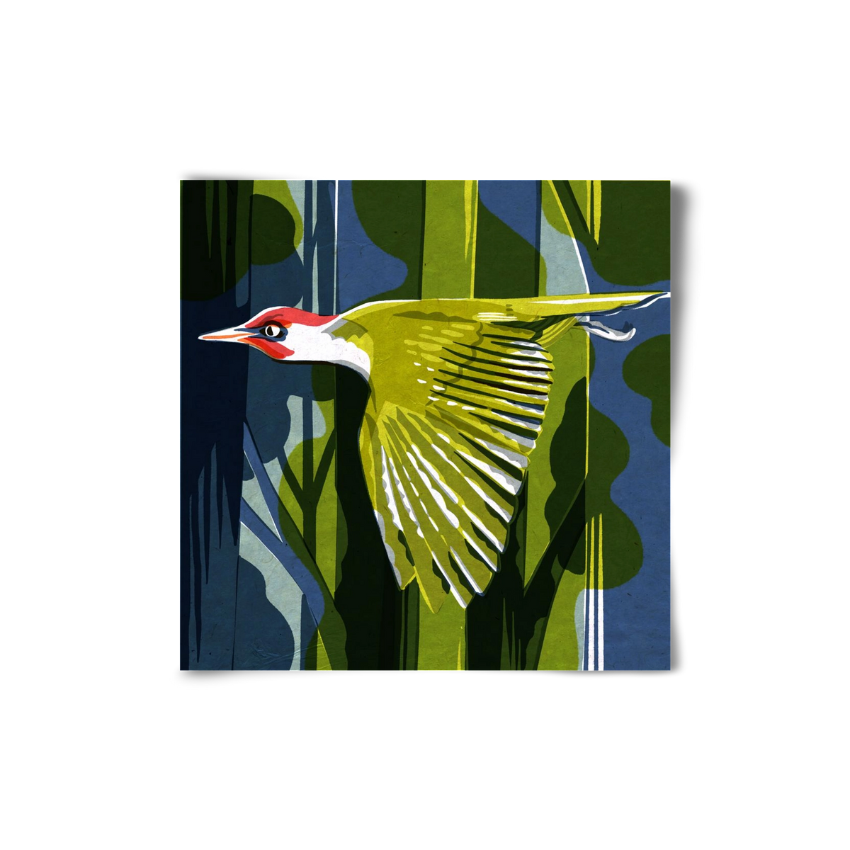 Zöld harkály, 20x20 cm, Keret nélkül