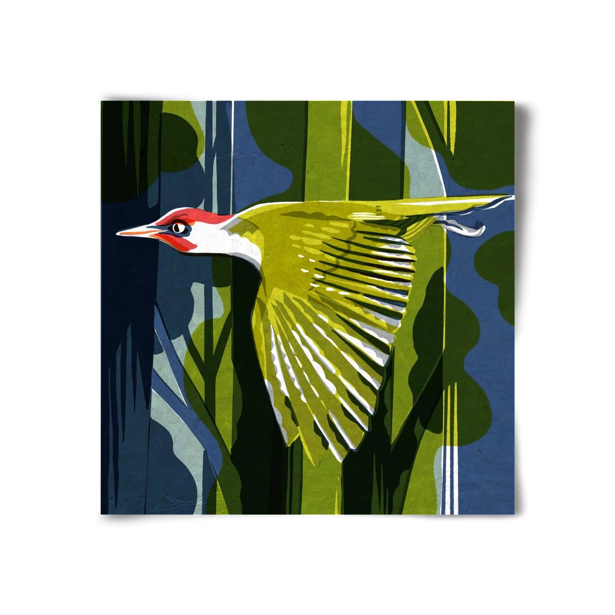 Zöld harkály, 30x30 cm, Keret nélkül