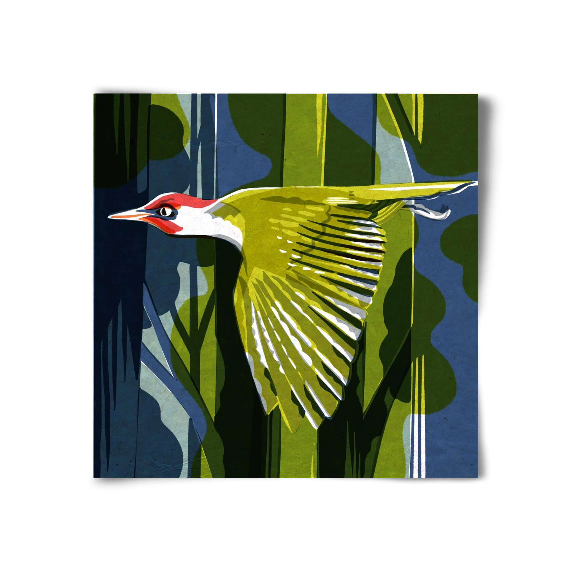 Zöld harkály, 30x30 cm, Keret nélkül